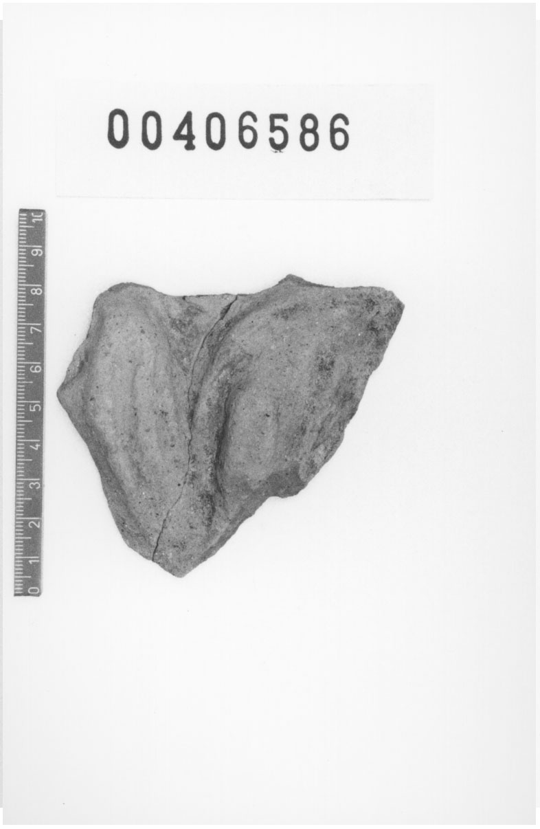 Tavoletta poliviscerale (Votivo anatomico, Fregellae, tipo F III) (III a.C, II a.C)