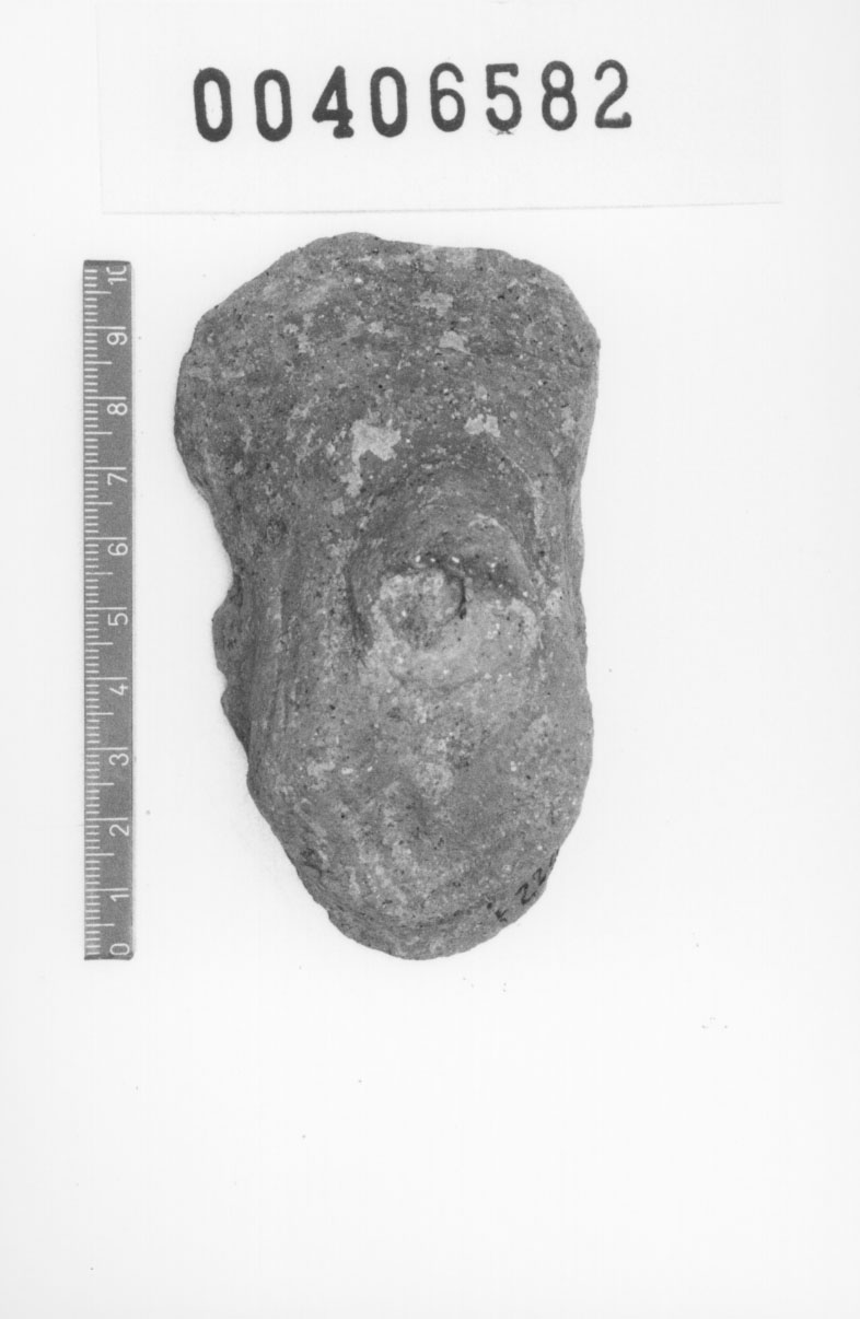 Organo genitale maschile (Votivo anatomico, Fregellae, tipo H V) (III a.C, II a.C)