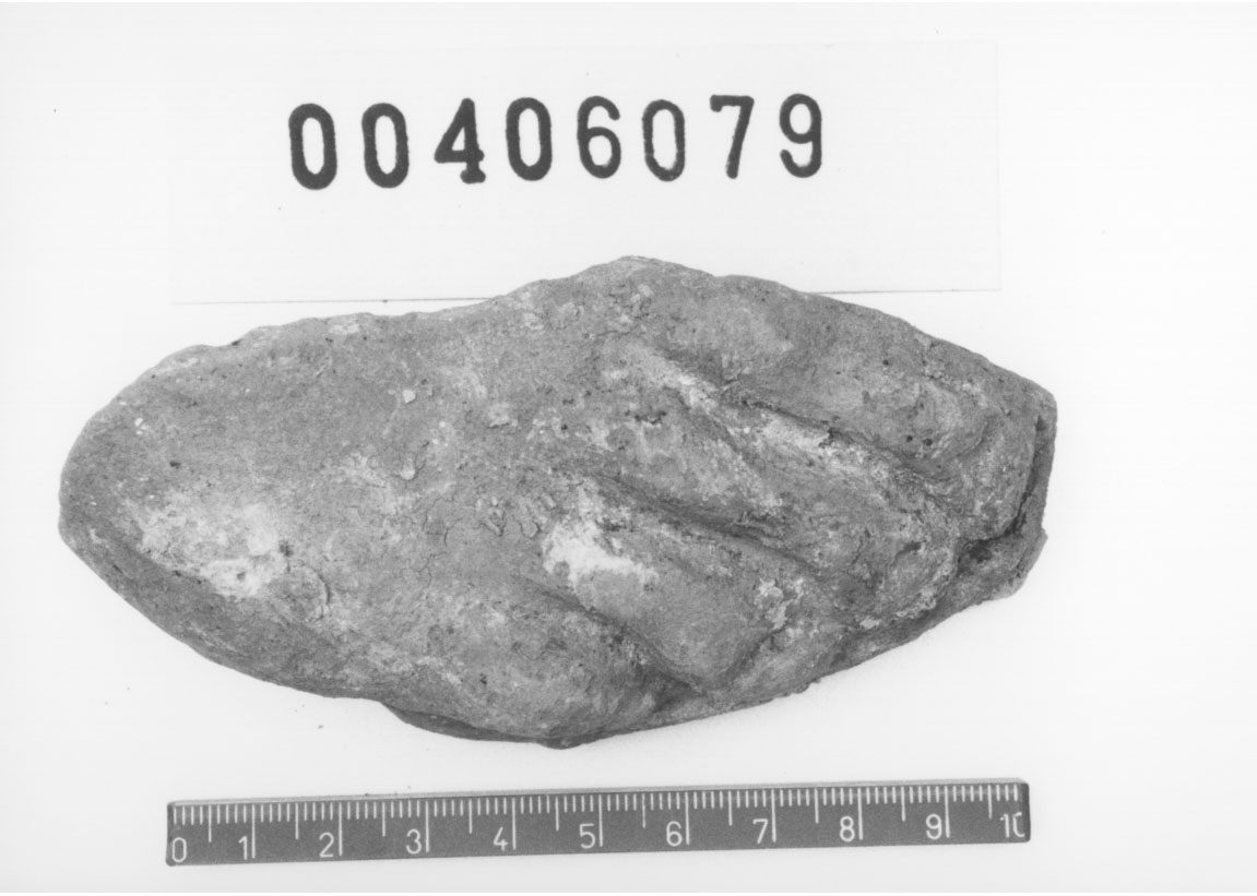 Piede destro (Votivo anatomico/ frammento, Fregellae, tipo ND I) (III a.C, II a.C)