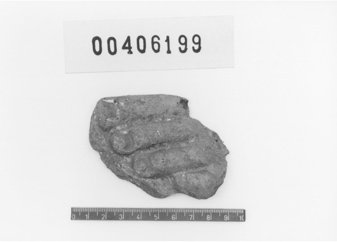 Piede sinistro (Votivo anatomico/ frammento, Fregellae, tipo NS II) (III a.C, II a.C)