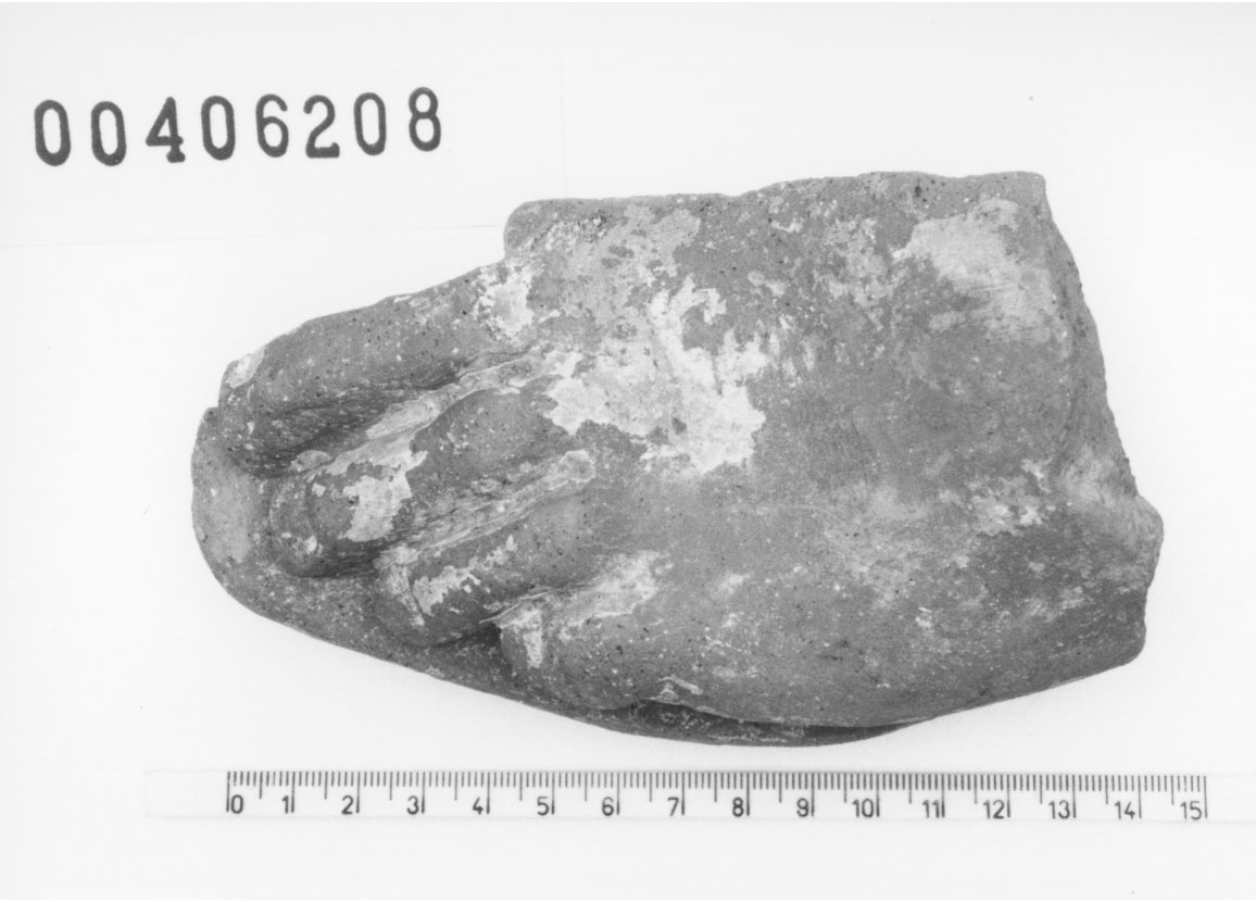Piede sinistro (Votivo anatomico/ frammento, Fregellae, tipo NS I) (III a.C, II a.C)