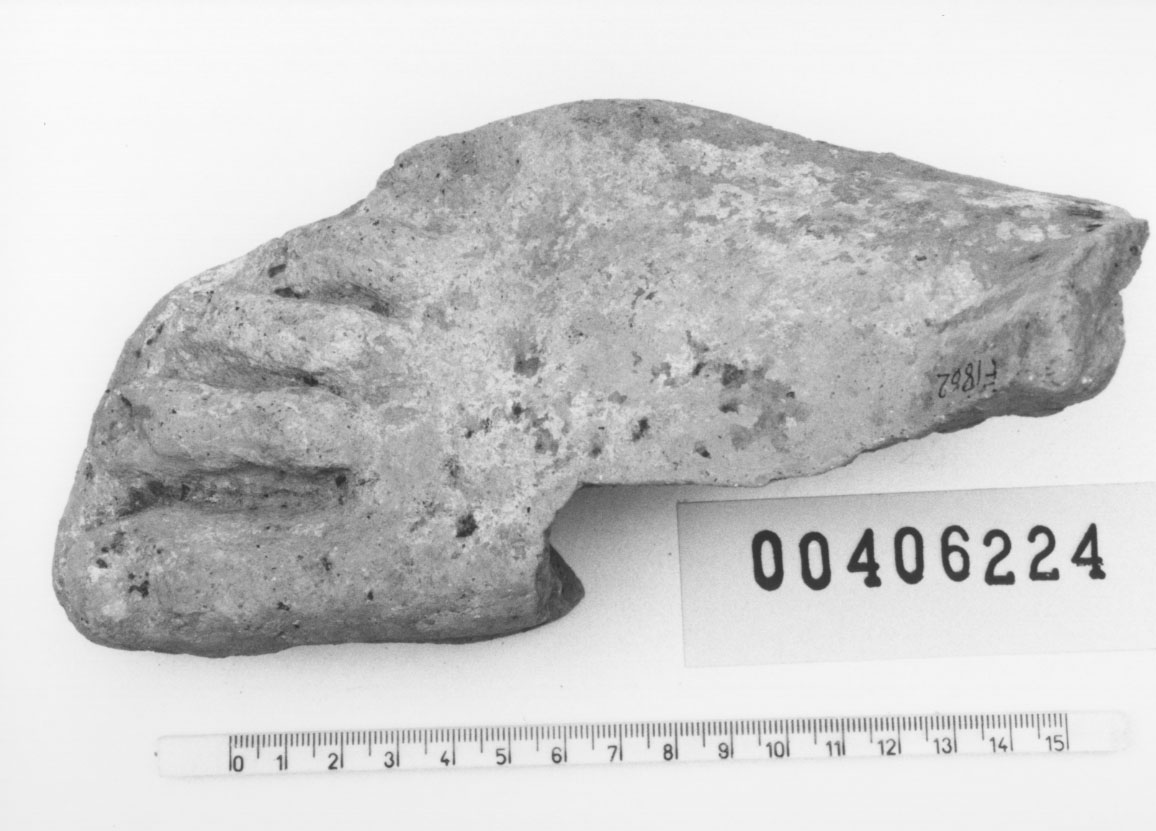 Piede destro (Votivo anatomico, Fregellae, tipo ND I) (III a.C, II a.C)