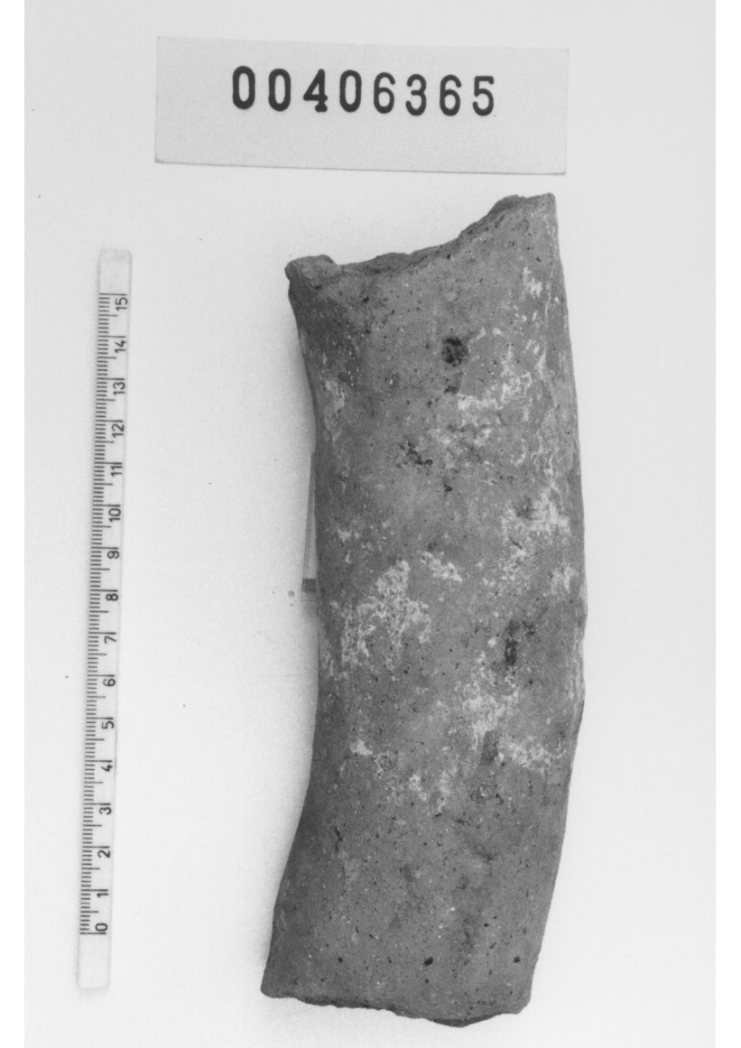 Braccio (Votivo anatomico) (III a.C, II a.C)