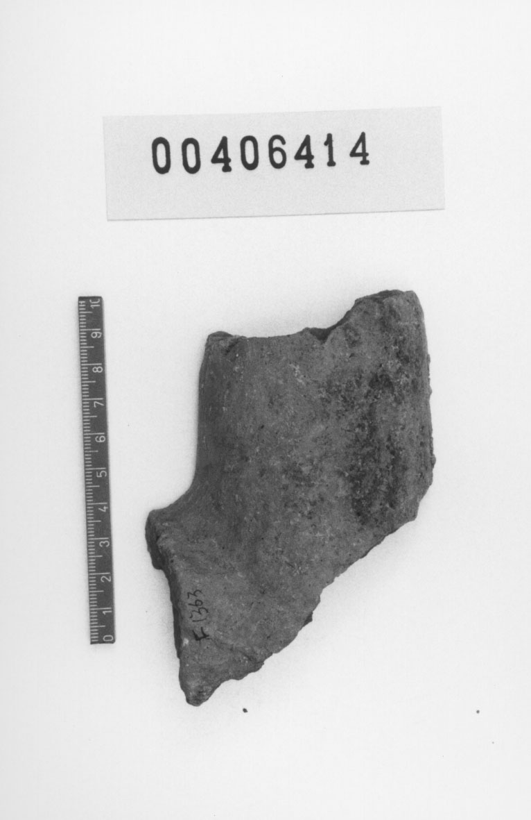 Braccio (Votivo anatomico) (III a.C, II a.C)