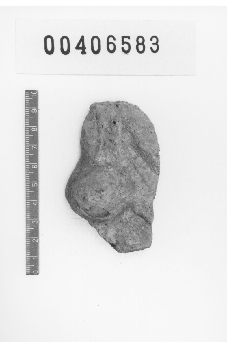 Tavoletta poliviscerale (Votivo anatomico, Fregellae, tipo F III) (III a.C, II a.C)