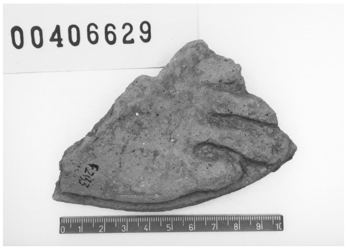 Piede destro (Votivo anatomico, Fregellae, tipo ND V) (III a.C, II a.C)