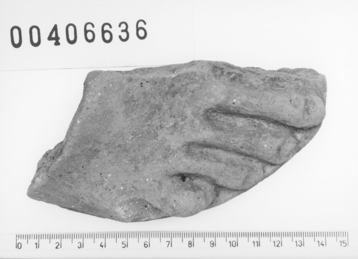 Piede destro (Votivo anatomico, Fregellae, tipo ND II) (III a.C, II a.C)