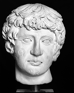 testa virile (scultura) di Andrea Guardi (bottega) (seconda metà sec. XV)