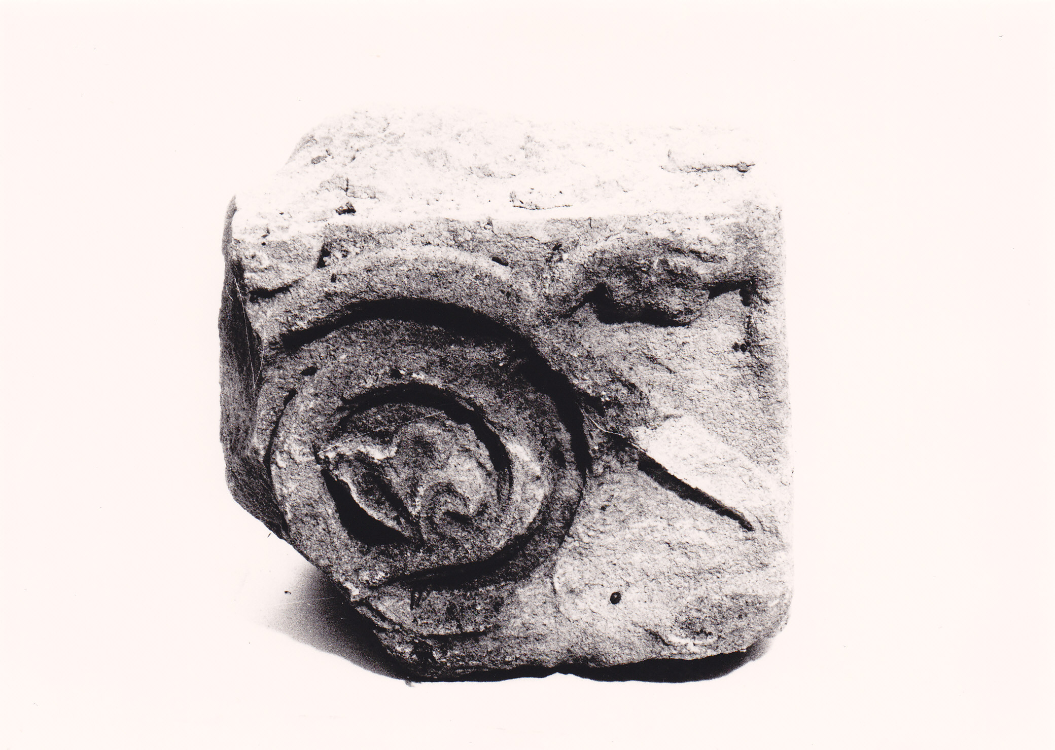 cornice marcapiano, frammento - officina romanica (XIII)