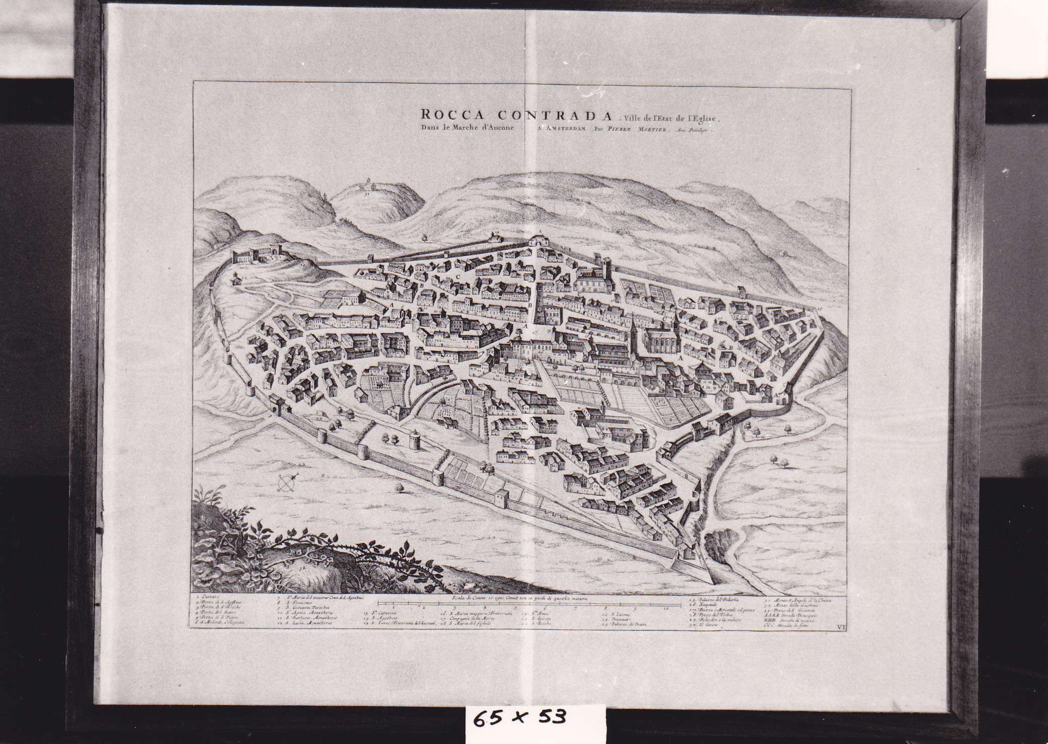 Rocca Contrada, pianta prospettica della città di Rocca Contrada (stampa) (XVIII)
