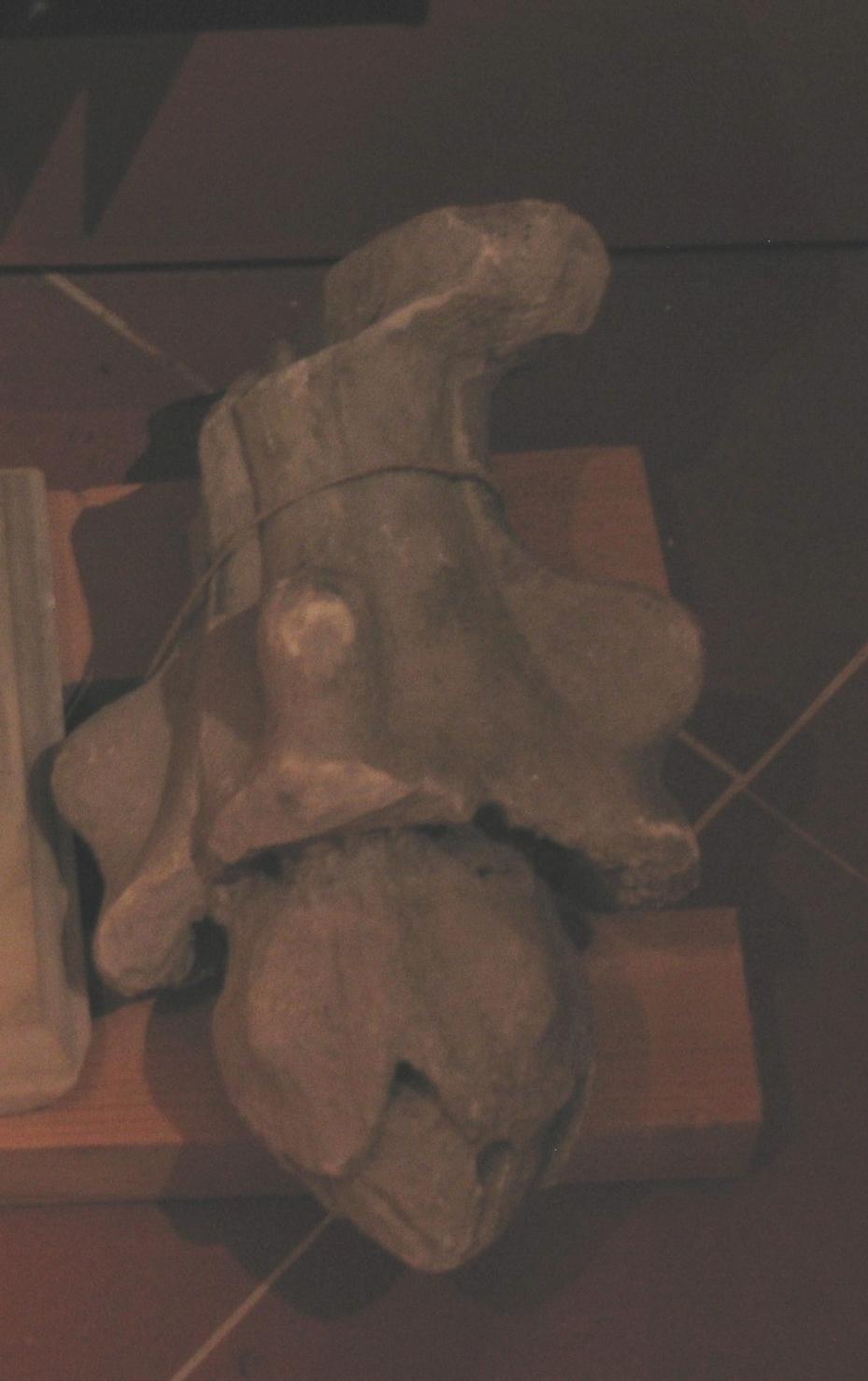 pinnacolo, frammento - ambito toscano (metà sec. XIV)