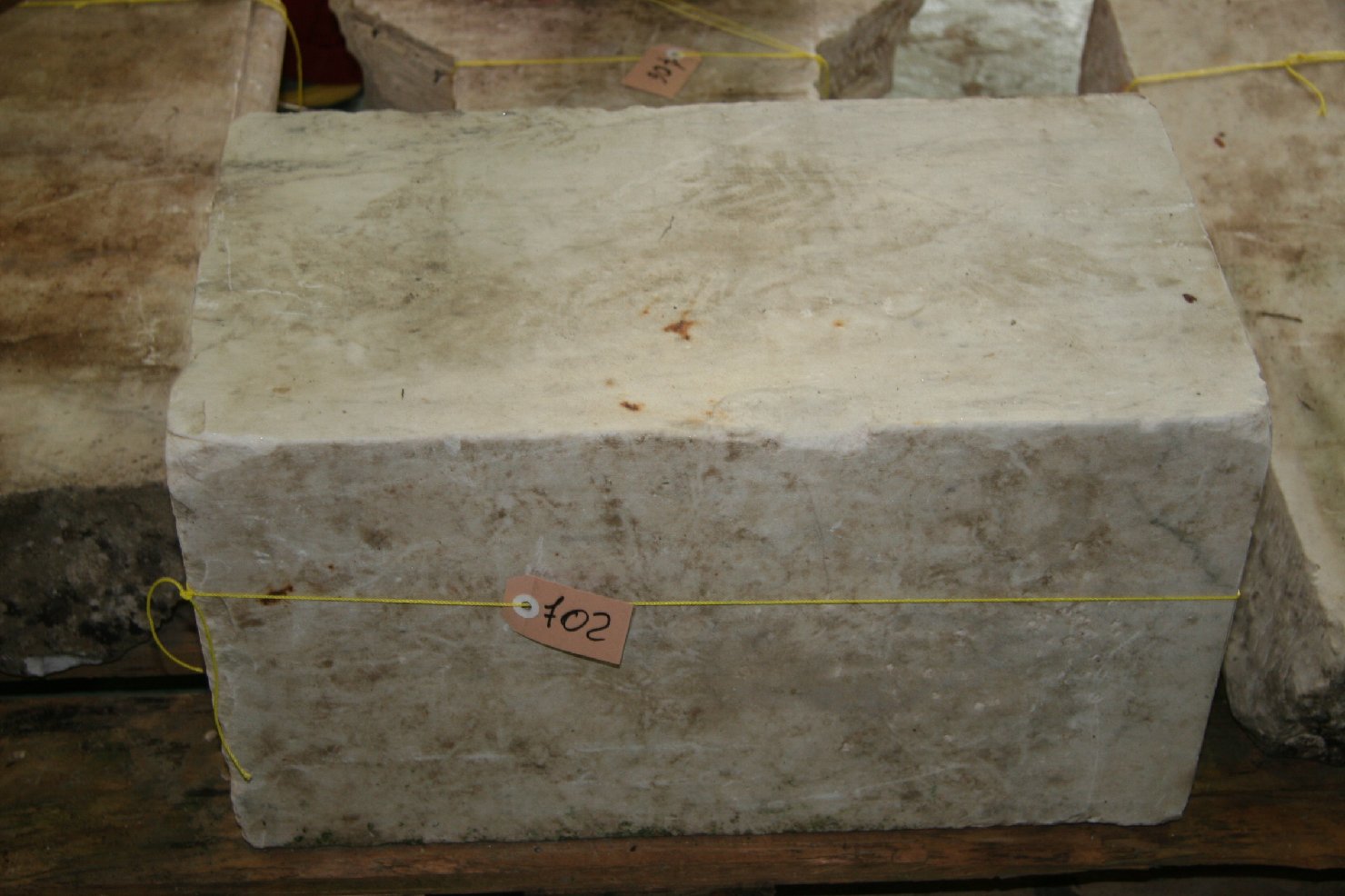 pilastro, frammento - ambito pisano (secc.XVI/ XVII)