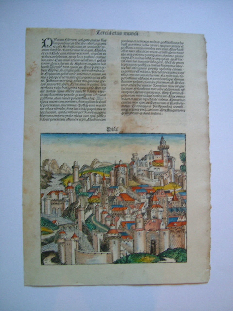 Pisa, veduta di città (stampa, frammento) - ambito tedesco (fine sec. XV)