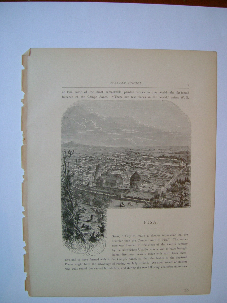 Pisa, veduta di città (stampa, frammento) di Therincton E (seconda metà sec. XIX)