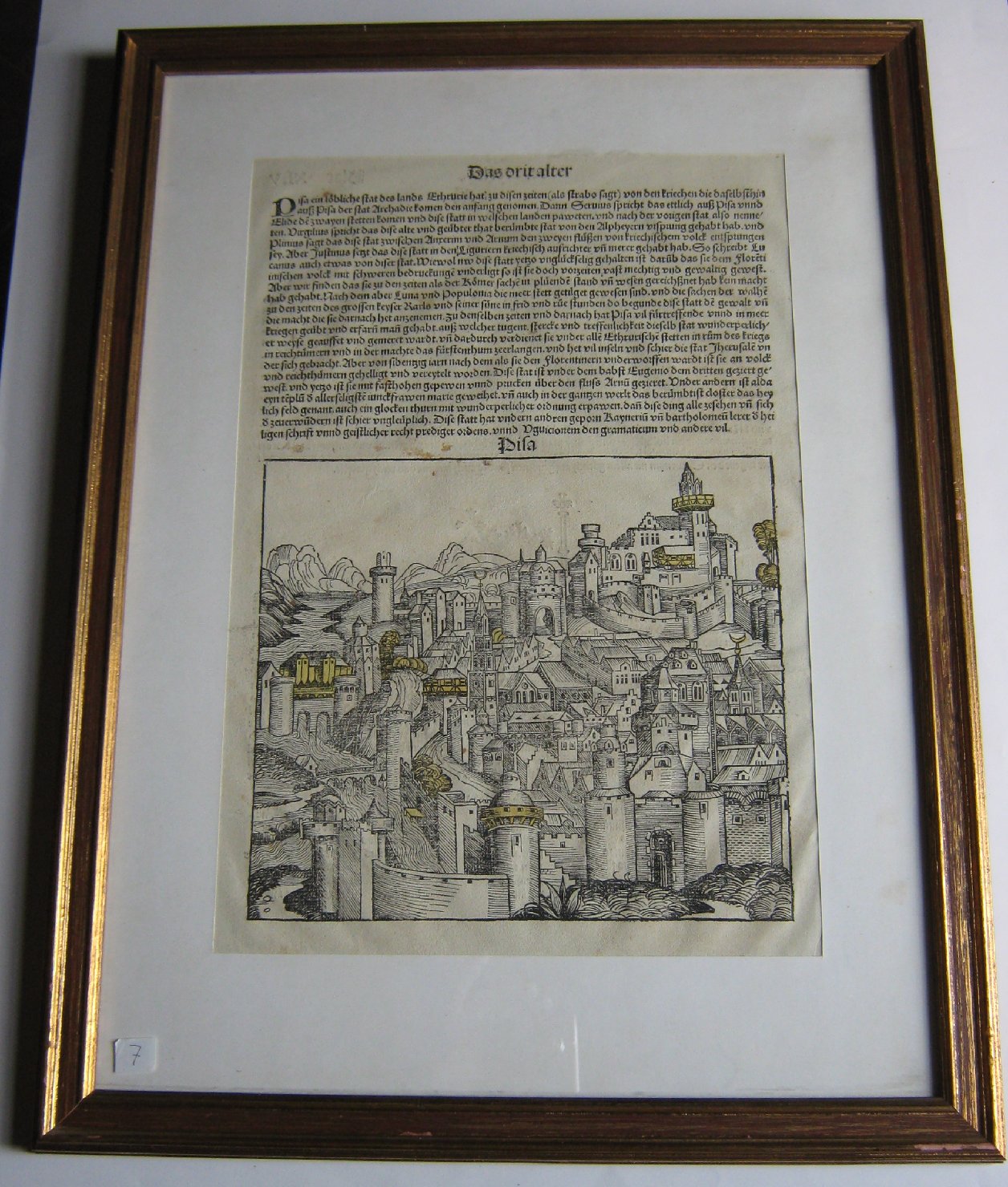 Pisa, veduta di città (stampa, frammento) di Wolgemut Michel (fine sec. XV)