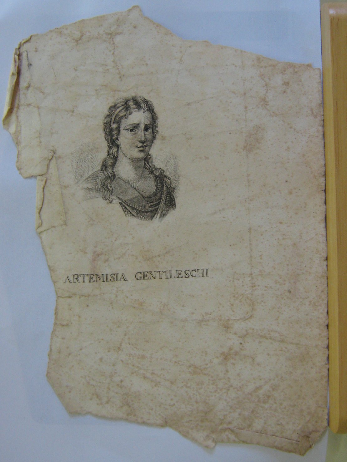 Artemisia Gentileschi, ritratto di donna (stampa, frammento) - ambito pisano (prima metï¿½ sec. XIX)
