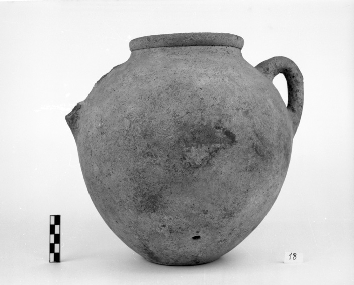 anfora - ambito etrusco (prima metà VI a.C)