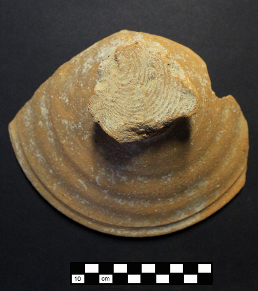 coperchio (secc. I d.C. - II d.C)