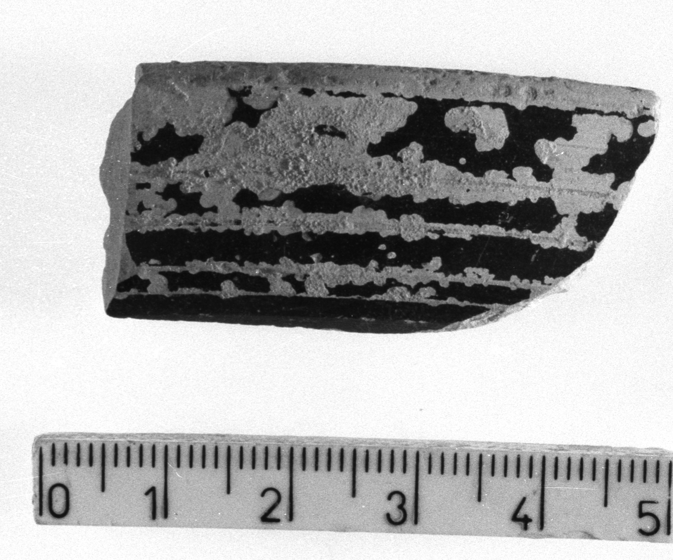 orlo di piatto/frammento, Morel, tipo 2254 d1 (secc. II - I a.C)