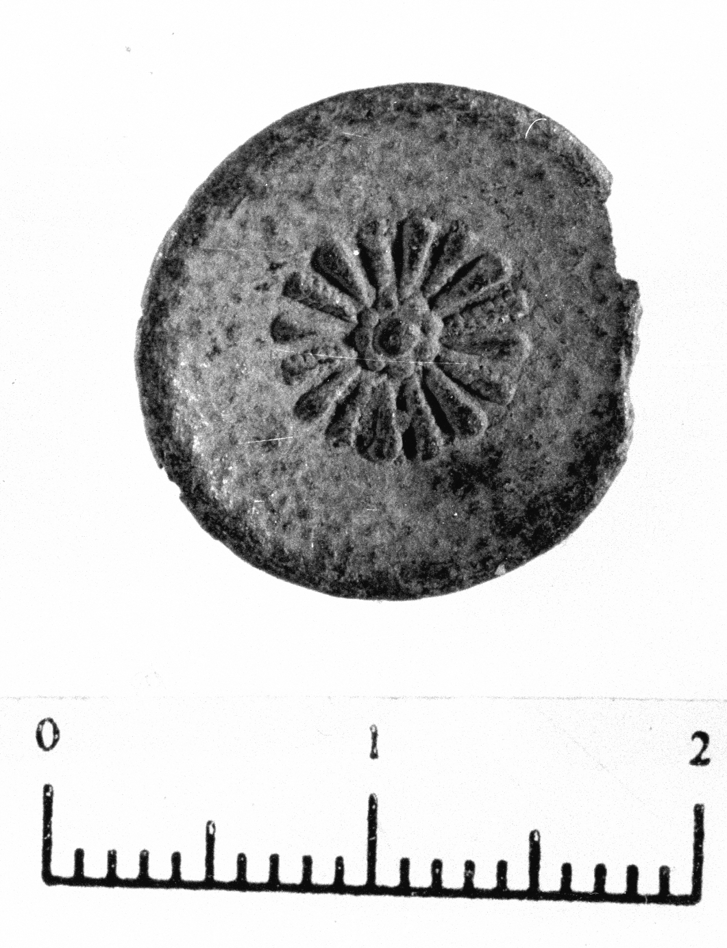 bottone con apicagnolo ad occhiello (secc. II a.C. - V d.C)