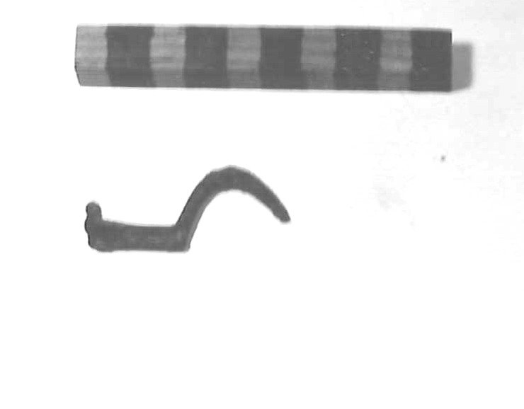 fibula (sec. VI a.C)