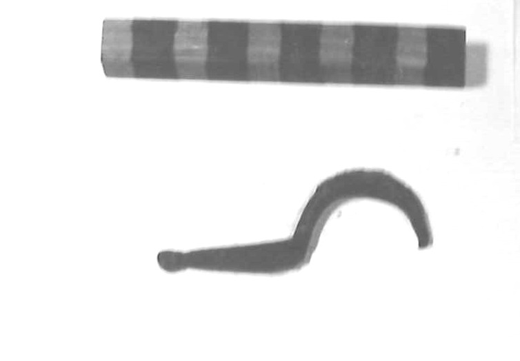 fibula (sec. VI a.C)