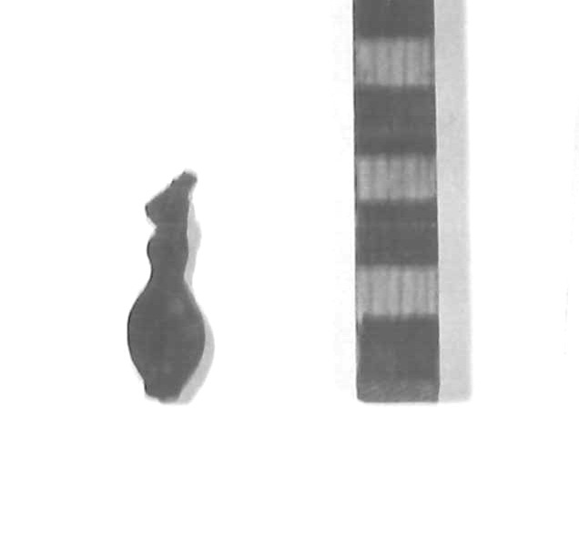 conchiglia cyprea (sec. VI a.C)