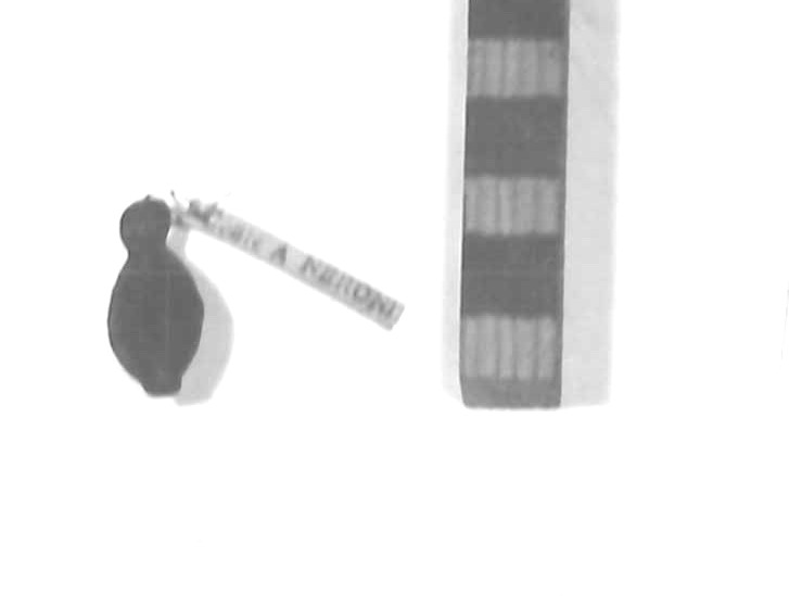 conchiglia cyprea (sec. VI a.C)