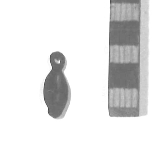 conchiglia cyprea (sec. VI a.C)