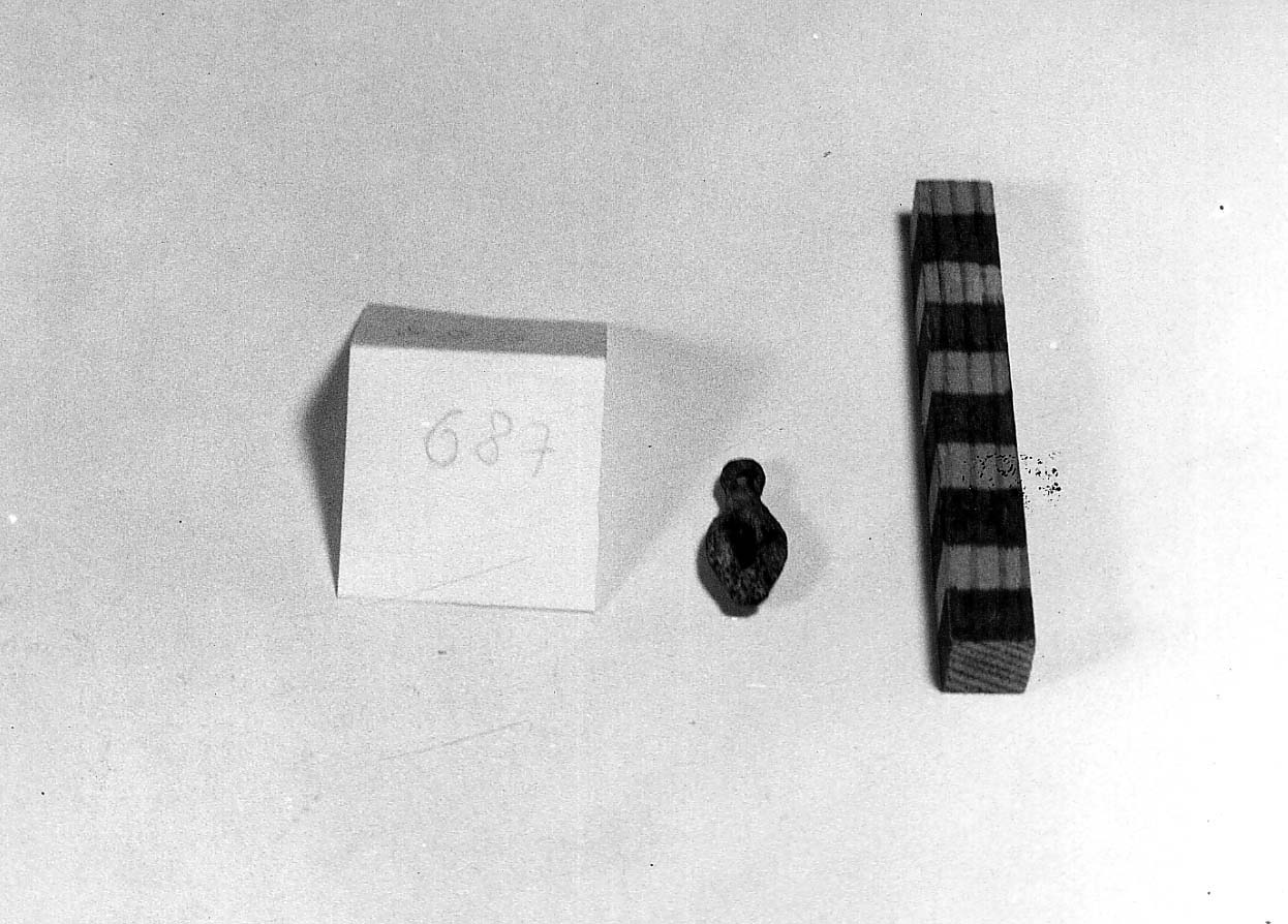 pendaglio a conchiglia Cyprea di non id, Percossi Serenelli tipo 19,1 - fase Piceno IV A (prima metà sec. VI a.C)