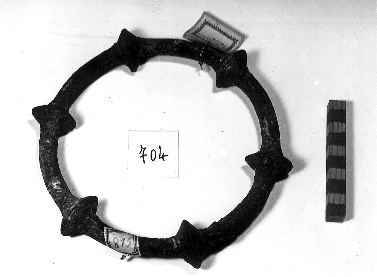 anello, Percossi Serenelli tipo 1 a2 - fase Piceno IV (sec. VI a.C)