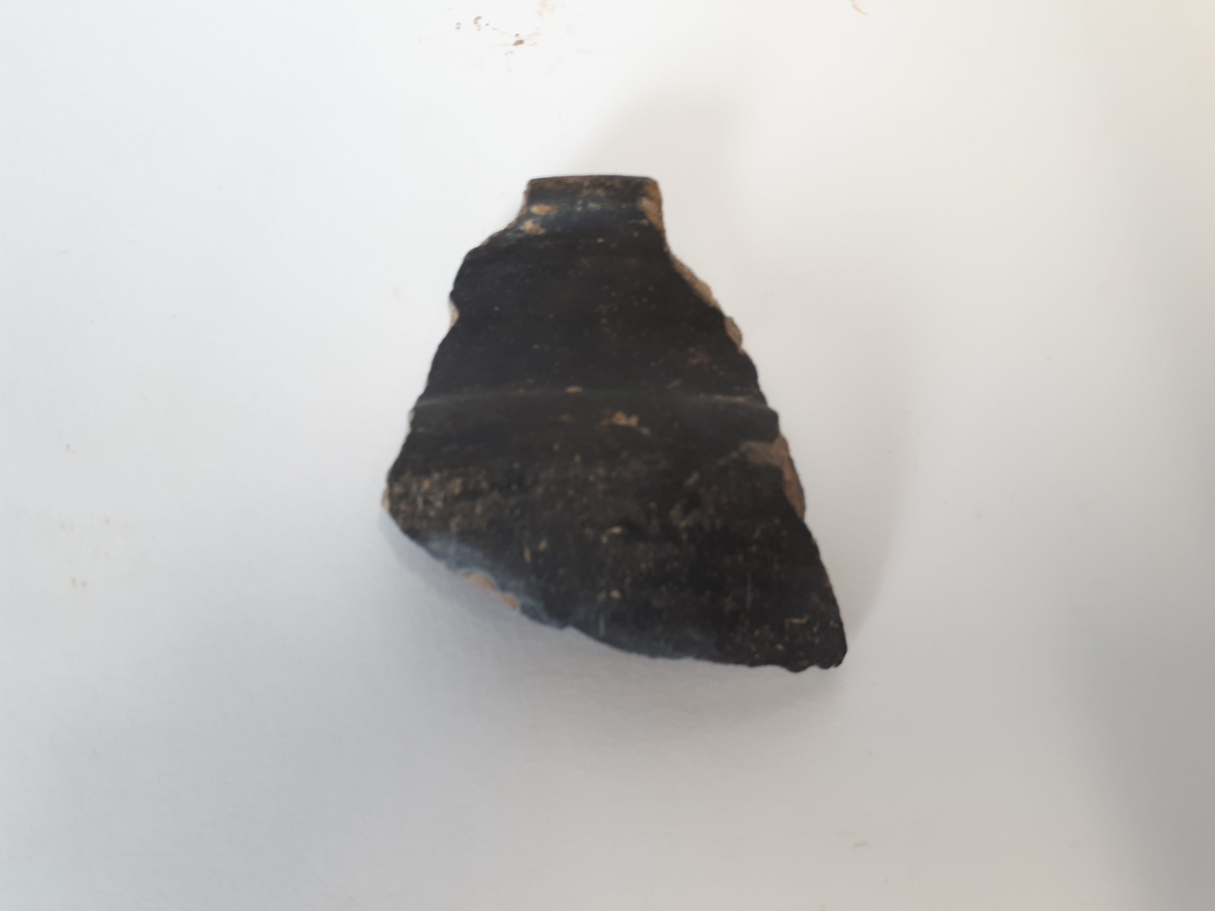 SINGOLO OGGETTO/ coppa, SECOLI/ VII a.C