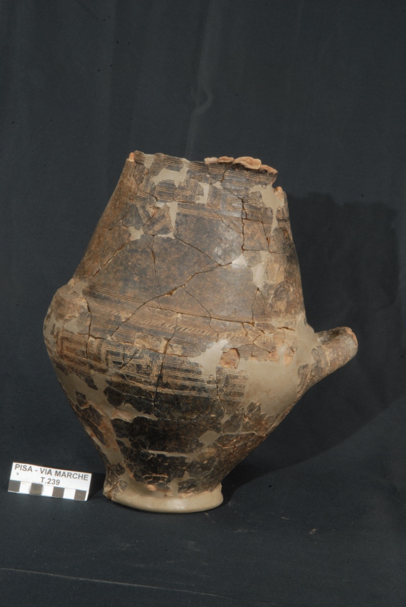 Cinerario, VIII sec. a.C