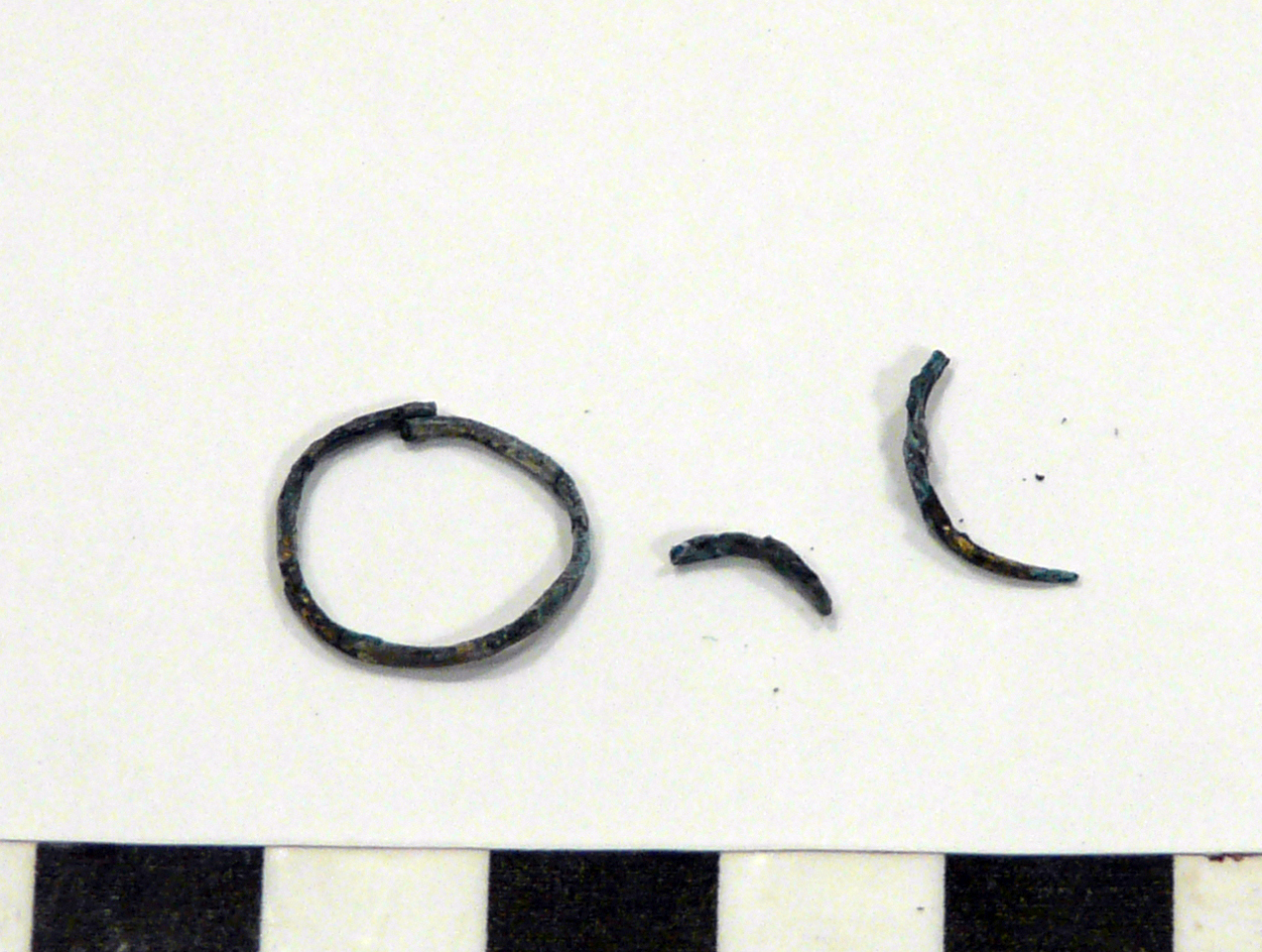 SINGOLO OGGETTO/ anello, Golasecca II B