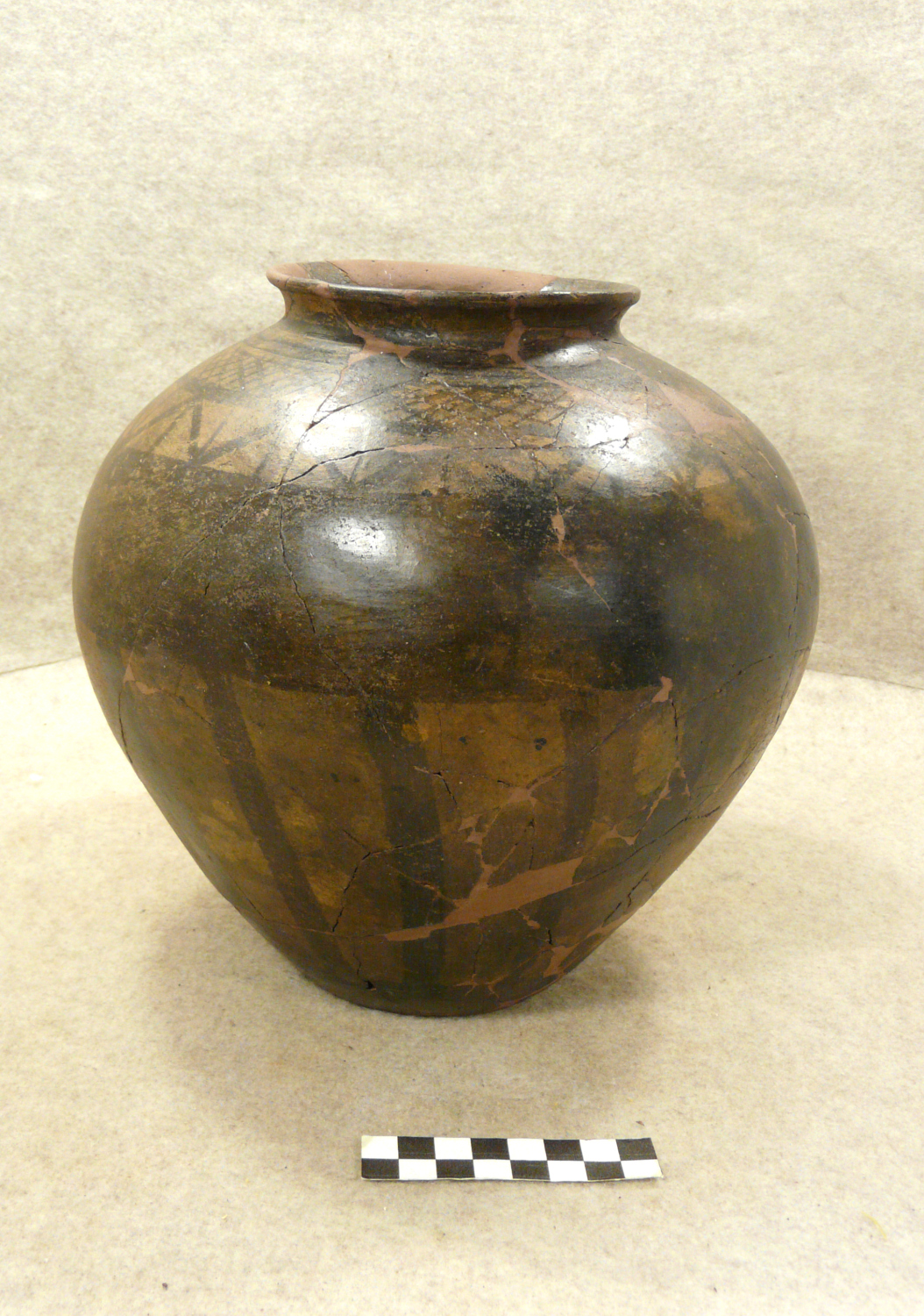 SINGOLO OGGETTO/ olla, Golasecca II B