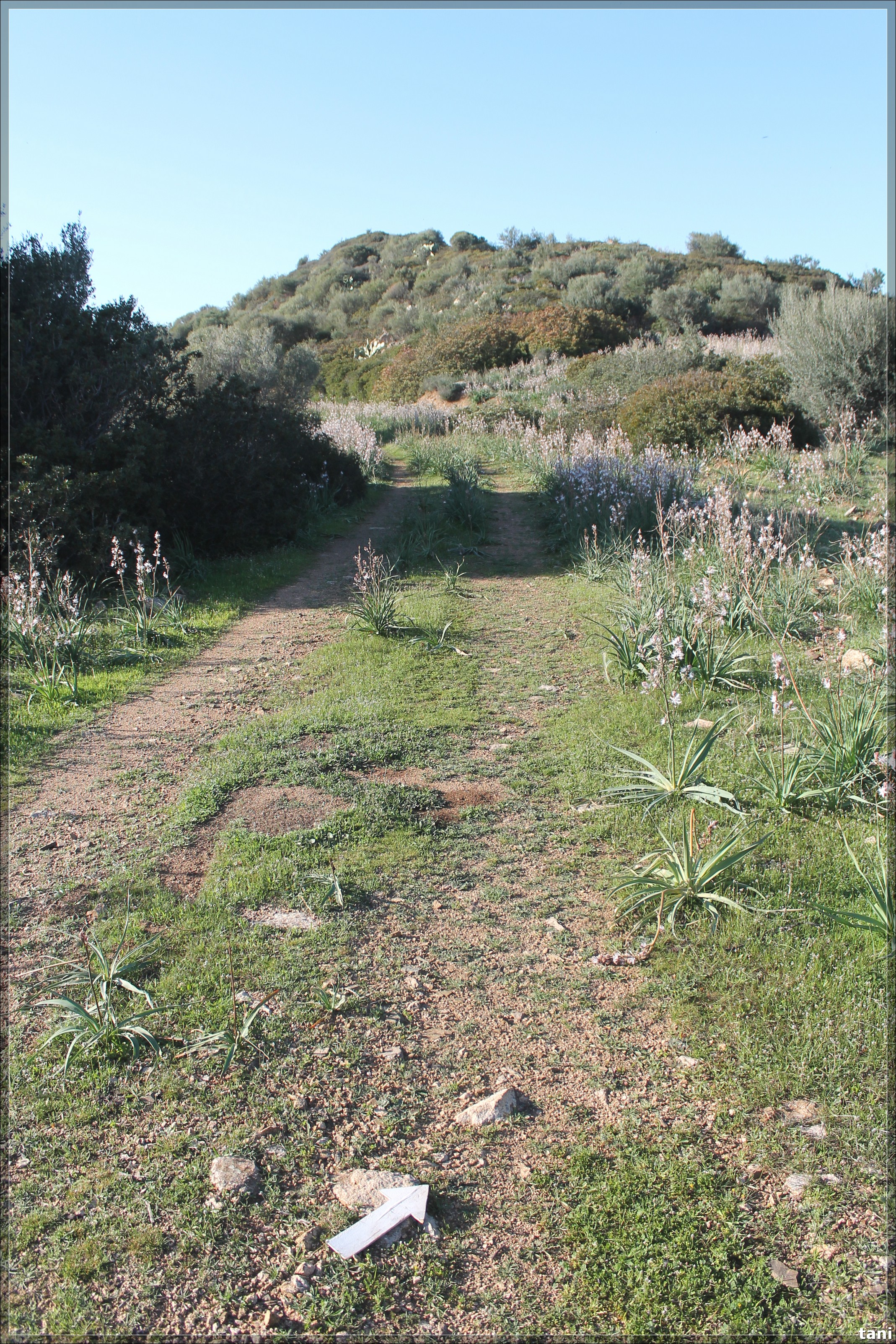 Nuraghe S'Arcu de sa Spina (insediamento nuragico, insediamento fortificato) - Quartu Sant'Elena (CA)  (Età del Bronzo medio-Età del Bronzo finale)