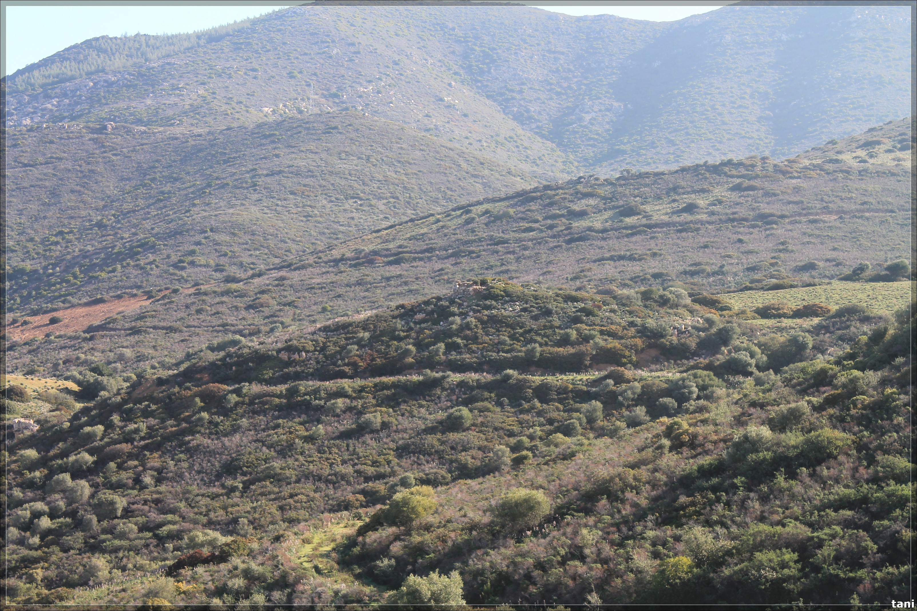 Insediamento nuragico Nuraghe S'Orixeddu I (insediamento nuragico, insediamento fortificato) - Quartu Sant'Elena (CA)  (Età del Bronzo medio-Età del Bronzo finale)