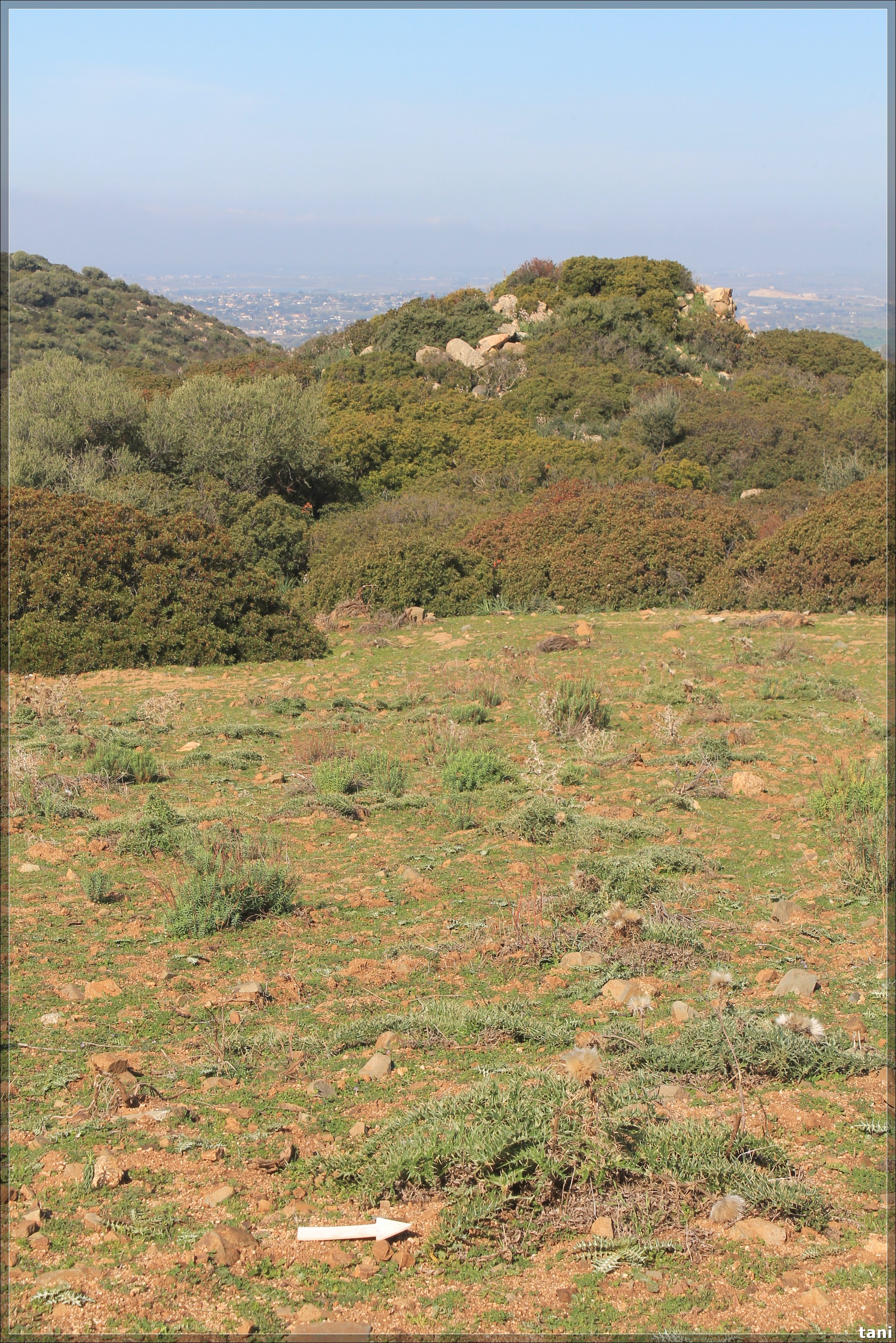 Insediamento Nuraghe S'Orixeddu I (insediamento, abitato/ tomba) - Quartu Sant'Elena (CA)  (Età Romana)
