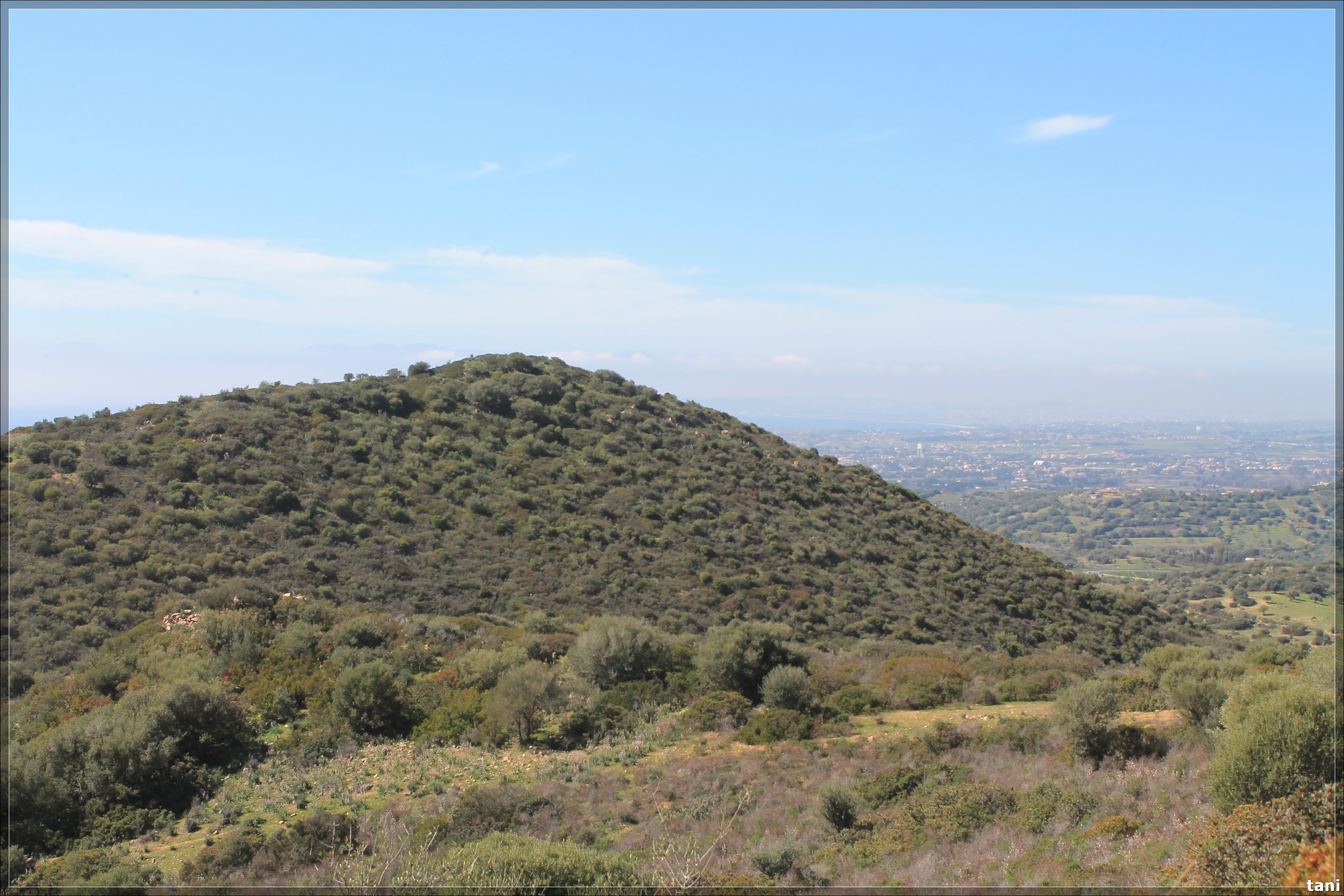 Insediamento nuragico Nuraghe S'Orixeddu II (insediamento nuragico, insediamento fortificato) - Quartu Sant'Elena (CA)  (Età del Bronzo medio-Età del Bronzo finale)