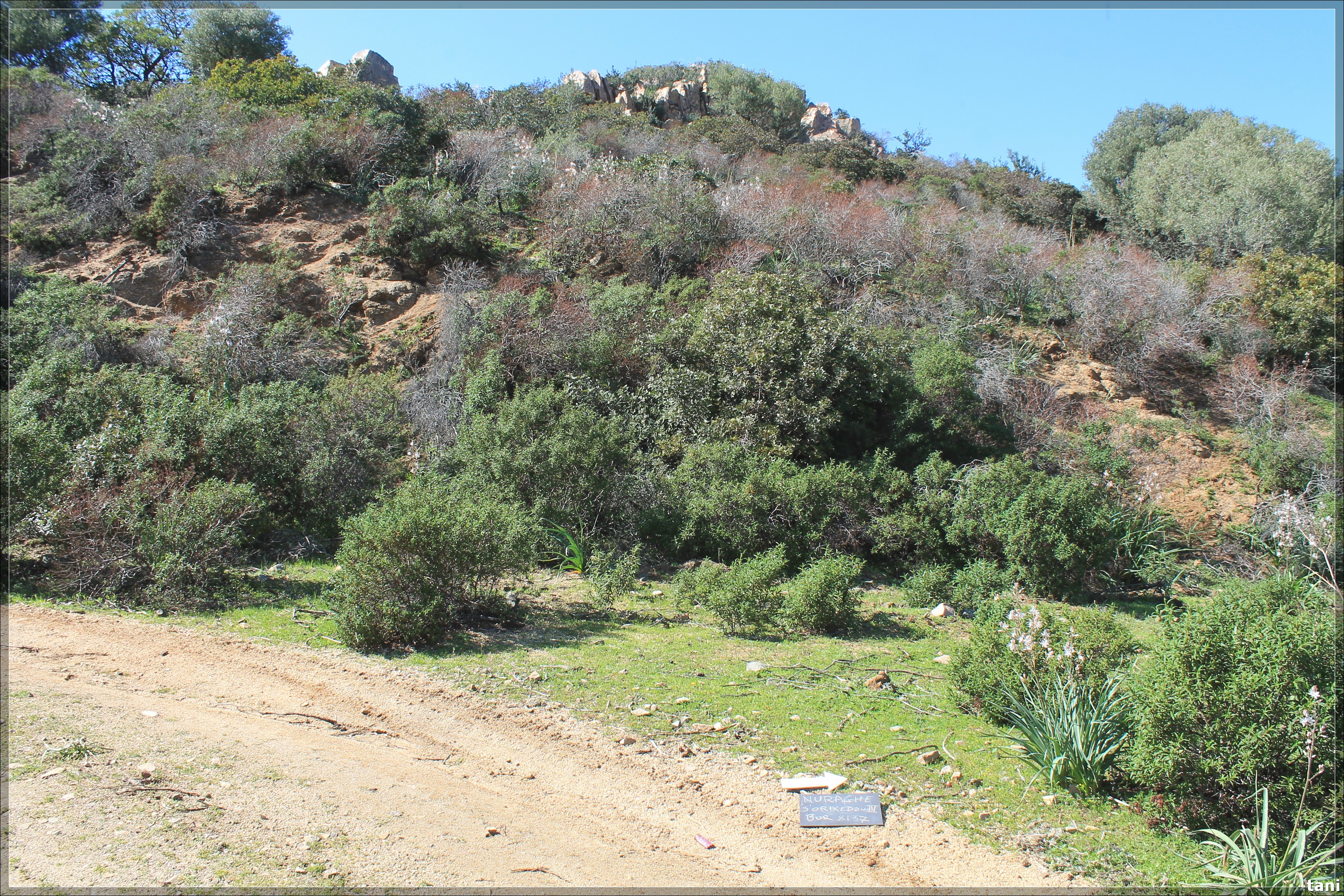 Insediamento nuragico Nuraghe S'Orixeddu III (nuraghe, insediamento fortificato) - Quartu Sant'Elena (CA)  (Età del Bronzo medio-Età del Bronzo finale)