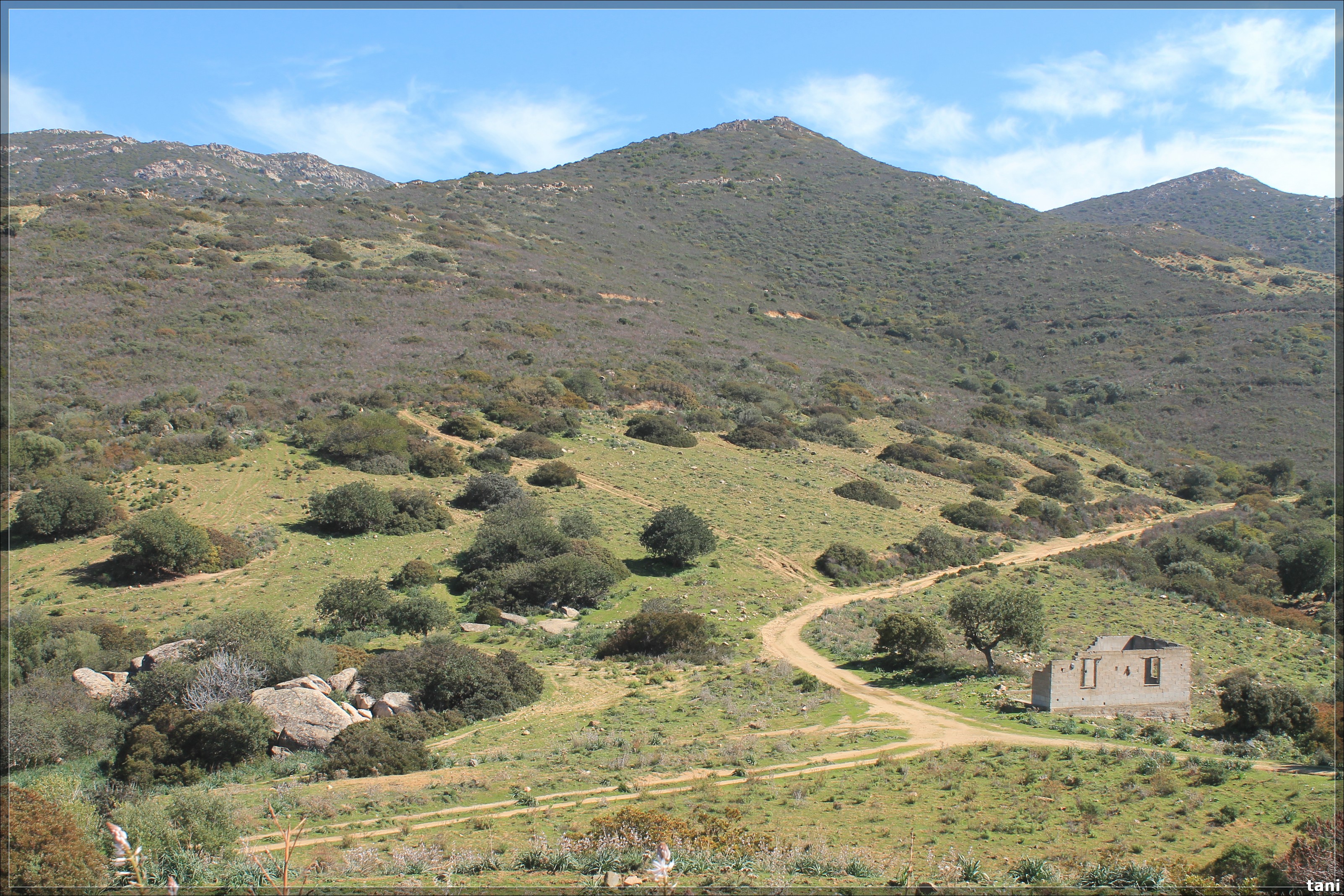 Insediamento Medau Nou (area di abitato) - Quartu Sant'Elena (CA)  (Età romana imperiale)