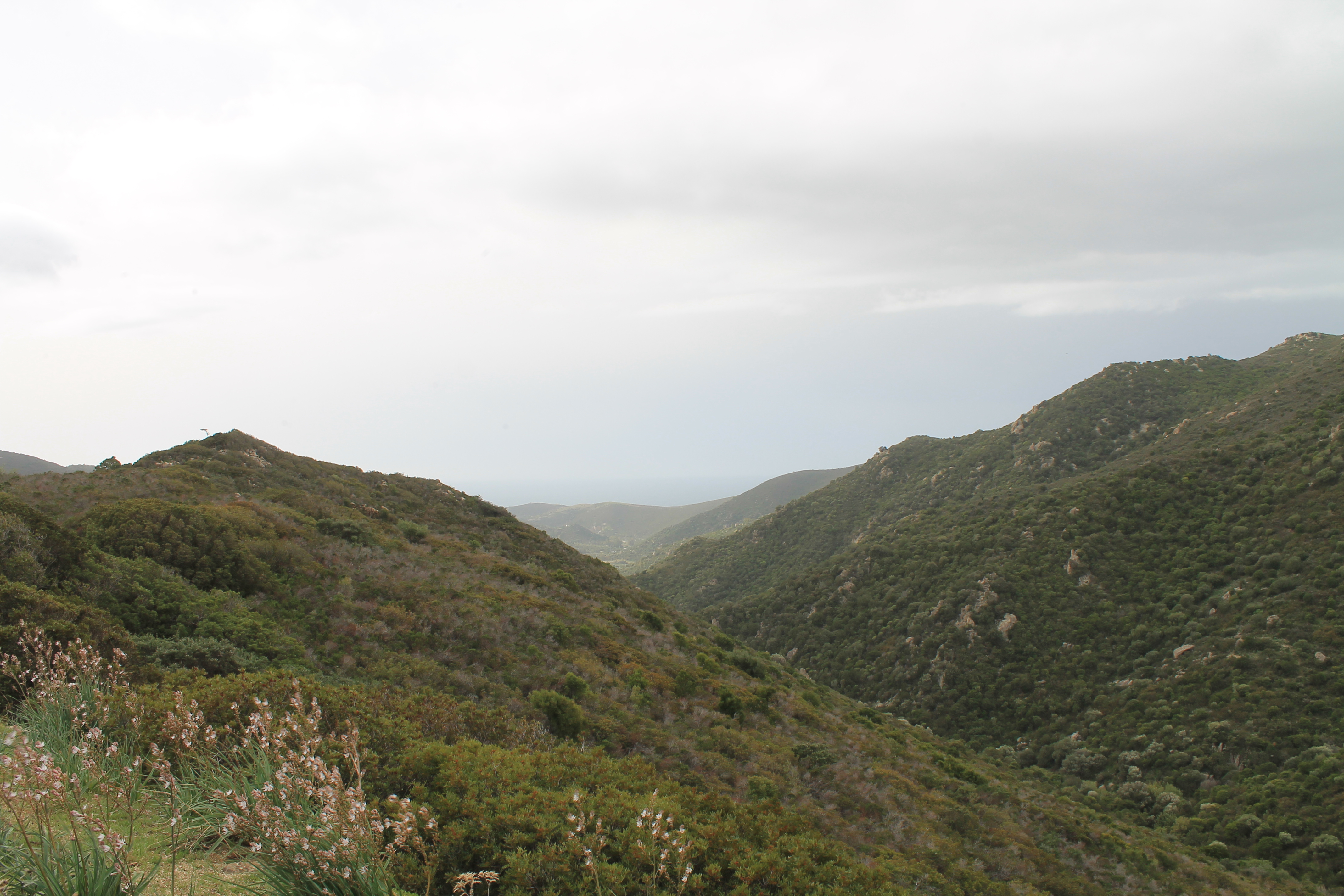 Insediamento nuragico Su Crabu (insediamento nuragico, nuraghe/ tomba di giganti) - Quartu Sant'Elena (CA)  (Età del Bronzo medio-Età del Bronzo finale)