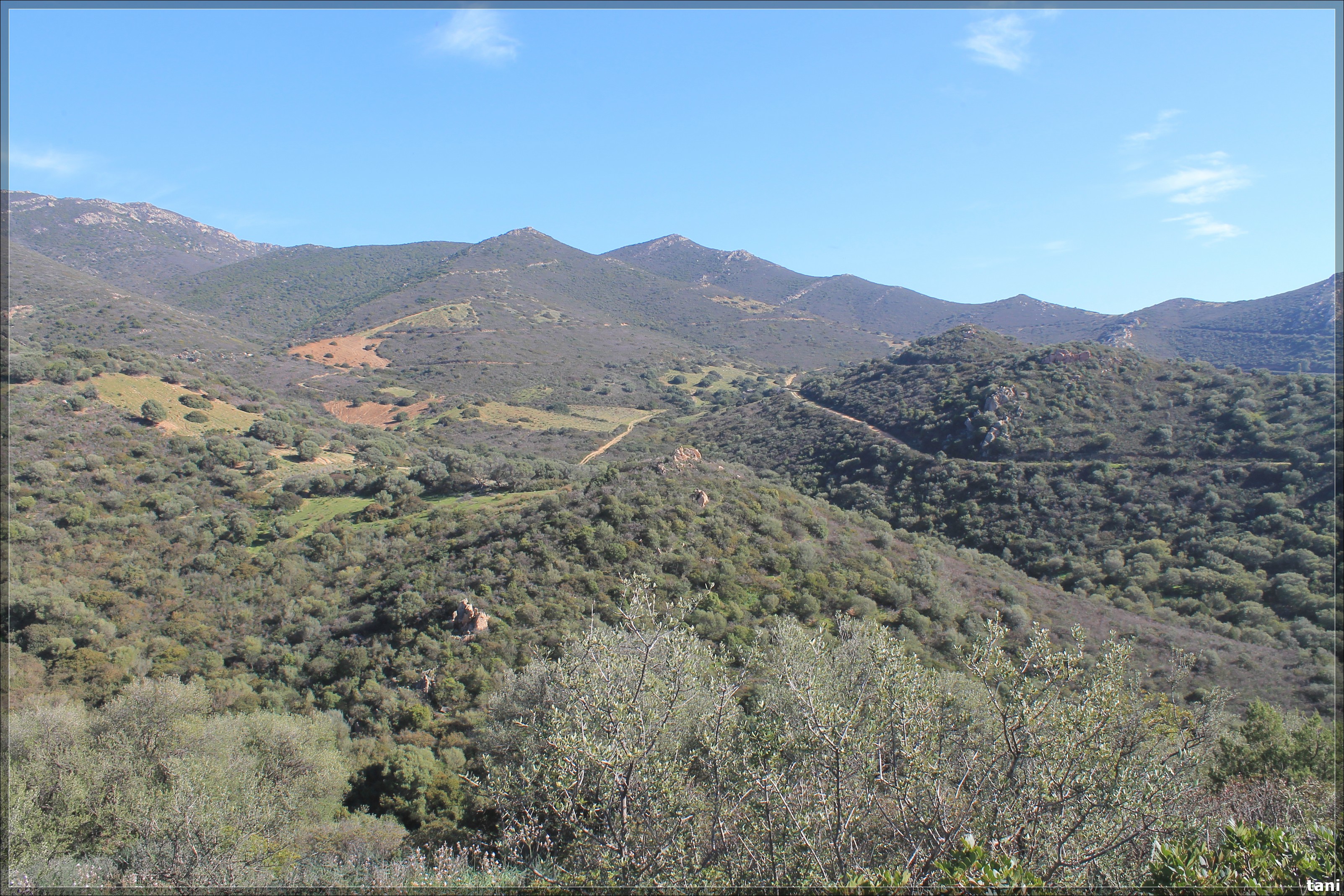 Nuraghe Cuccureddus (nuraghe, insediamento fortificato) - Quartu Sant'Elena (CA)  (Età del Bronzo medio-Età del Bronzo finale)