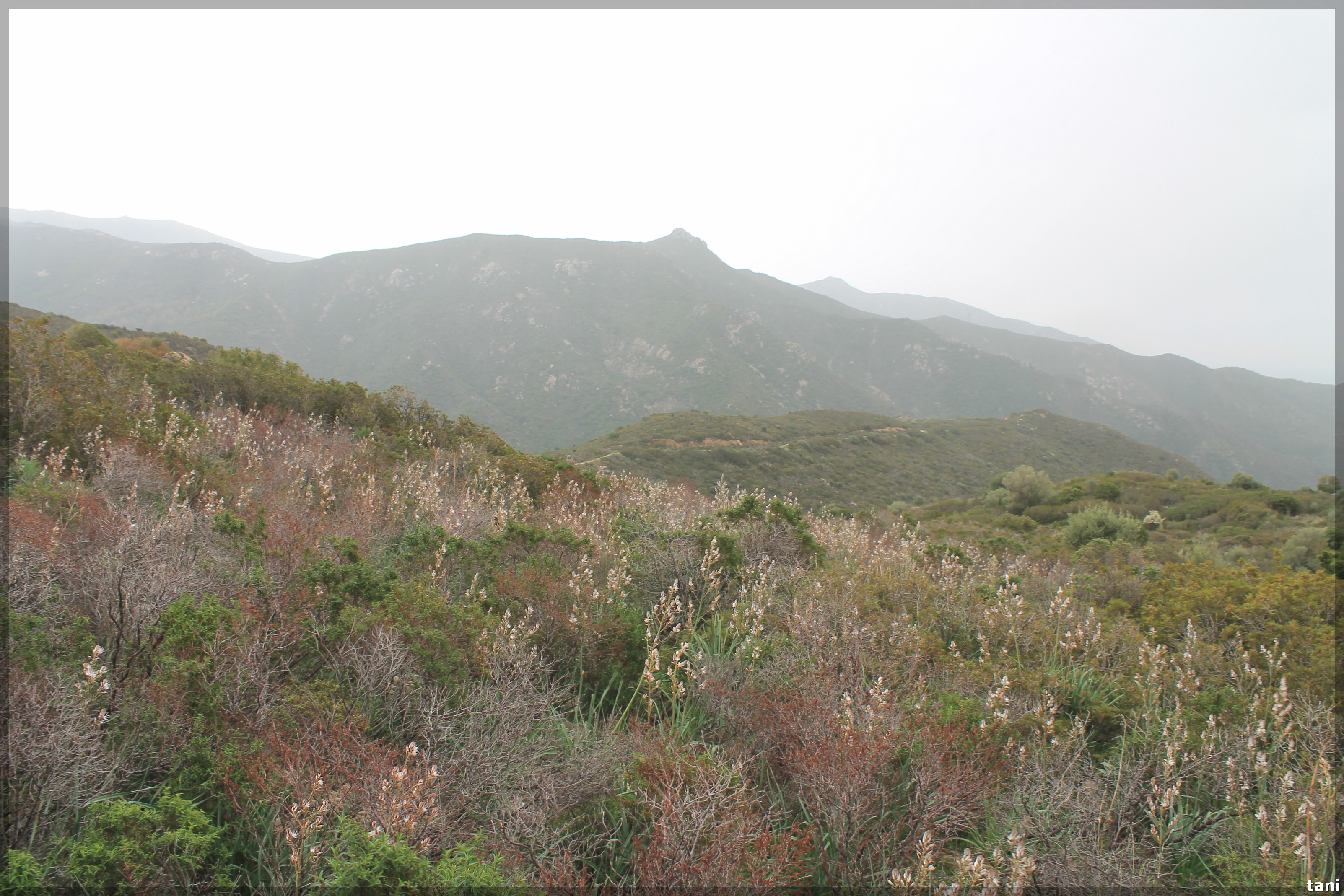 Insediamento pluristratificato Procili Giuanne Acca (sito pluristratificato, insediamento nuragico/ insediamento romano/ necropoli romana) - Quartu Sant'Elena (CA)  (Età del Bronzo medio/ Età romana imperiale)