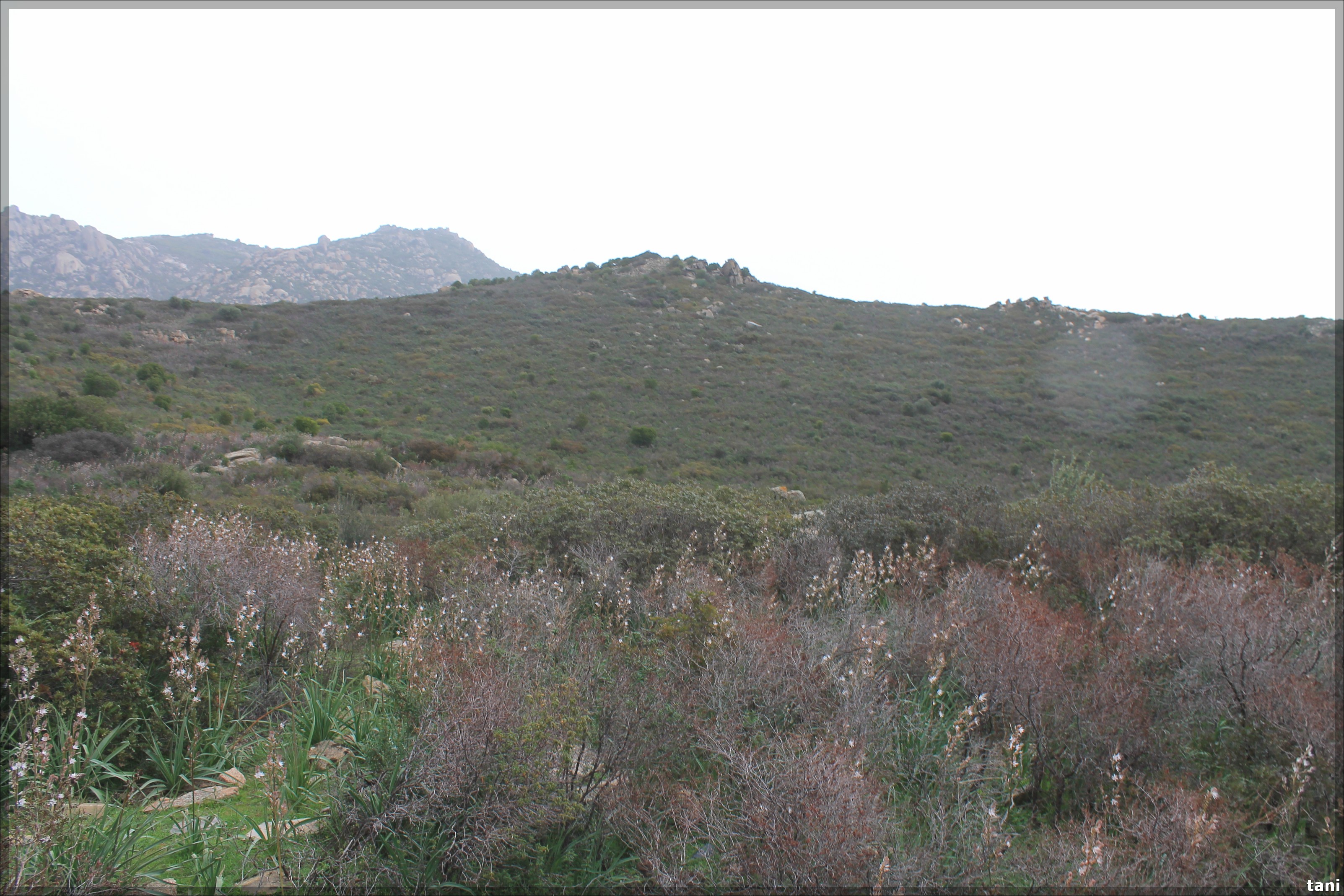 Nuraghe Su Zinnibiri (insediamento, insediamento fortificato) - Quartu Sant'Elena (CA)  (Età del Bronzo medio-Età del Bronzo finale)