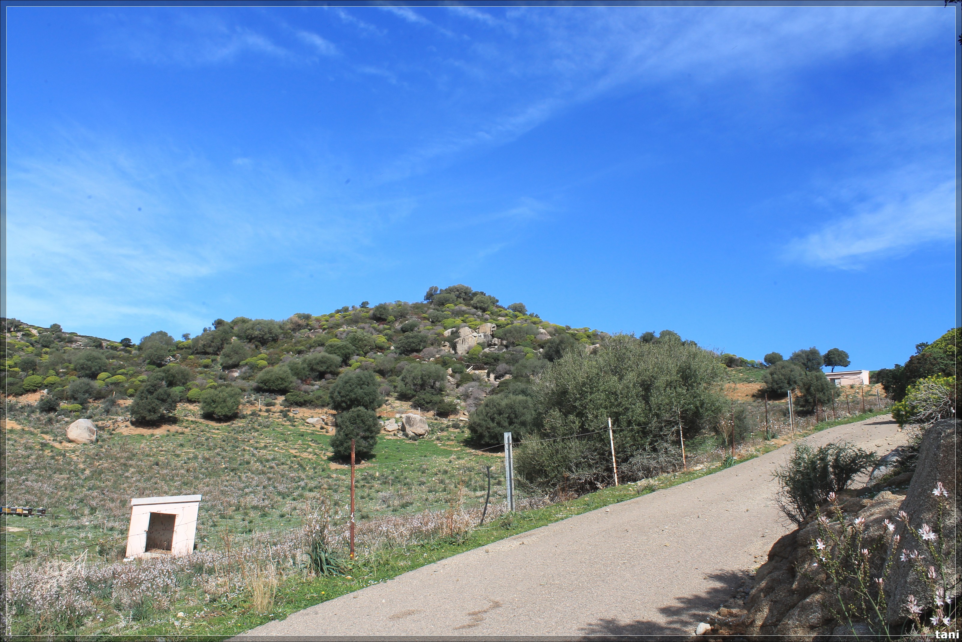 Insediamento nuragico Nuraghe Pusceddu (insediamento nuragico, nuraghe/ villaggio) - Quartu Sant'Elena (CA)  (Età del Bronzo medio-Età del Bronzo finale)