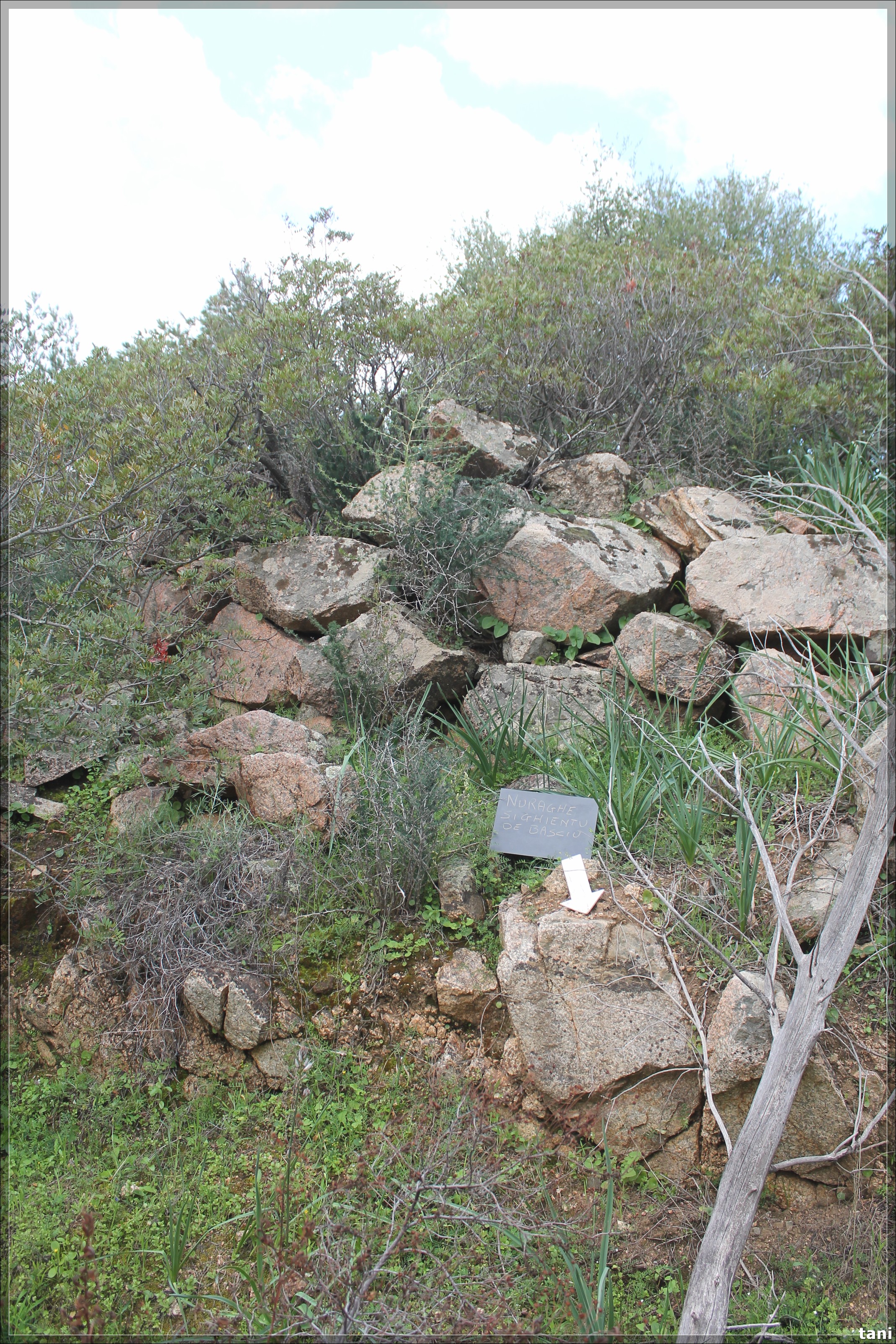 Nuraghe Sighientu de Basciu (nuraghe, insediamento fortificato) - Quartu Sant'Elena (CA)  (Età del Bronzo medio-Età del Bronzo finale)