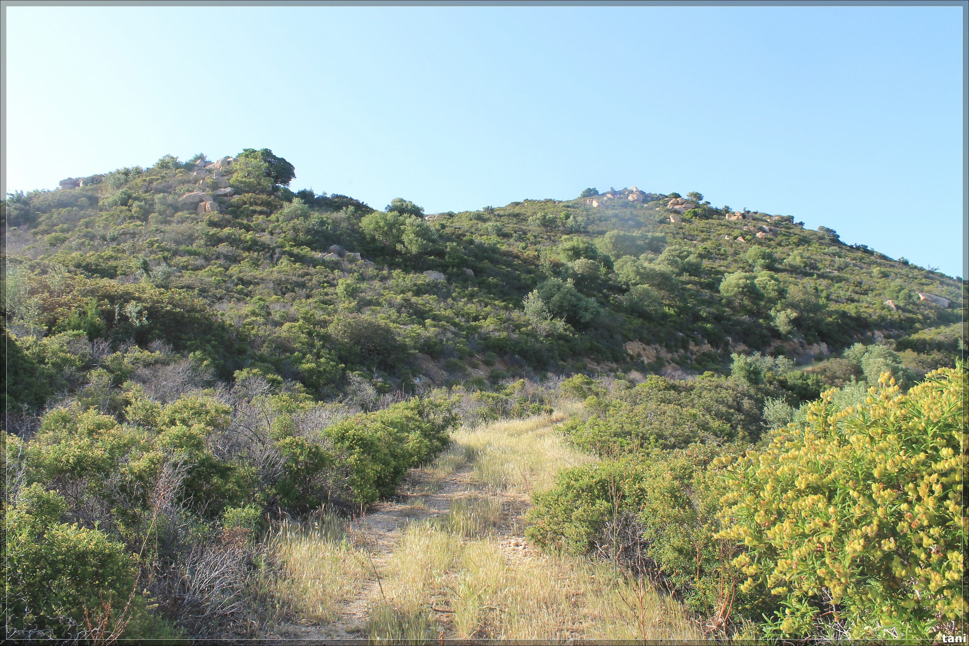 Nuraghe Siliqua (nuraghe, insediamento fortificato) - Quartu Sant'Elena (CA)  (Età del Bronzo medio-Età del Bronzo finale)
