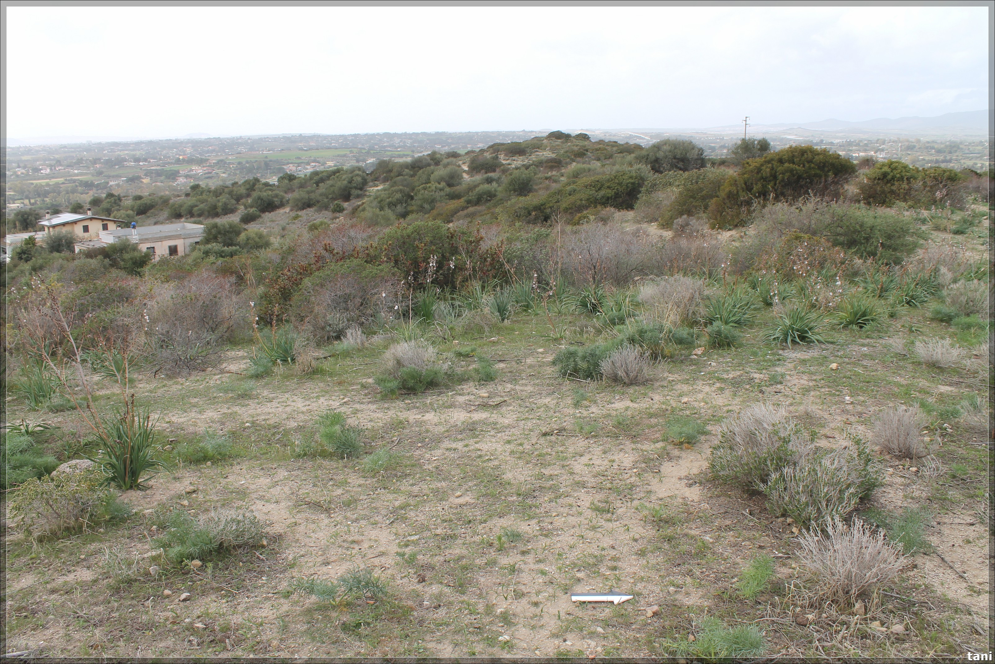 Nuraghe Frapponti (nuraghe, insediamento fortificato) - Quartu Sant'Elena (CA)  (Età del Bronzo medio-Età del Bronzo finale/ Età romana)