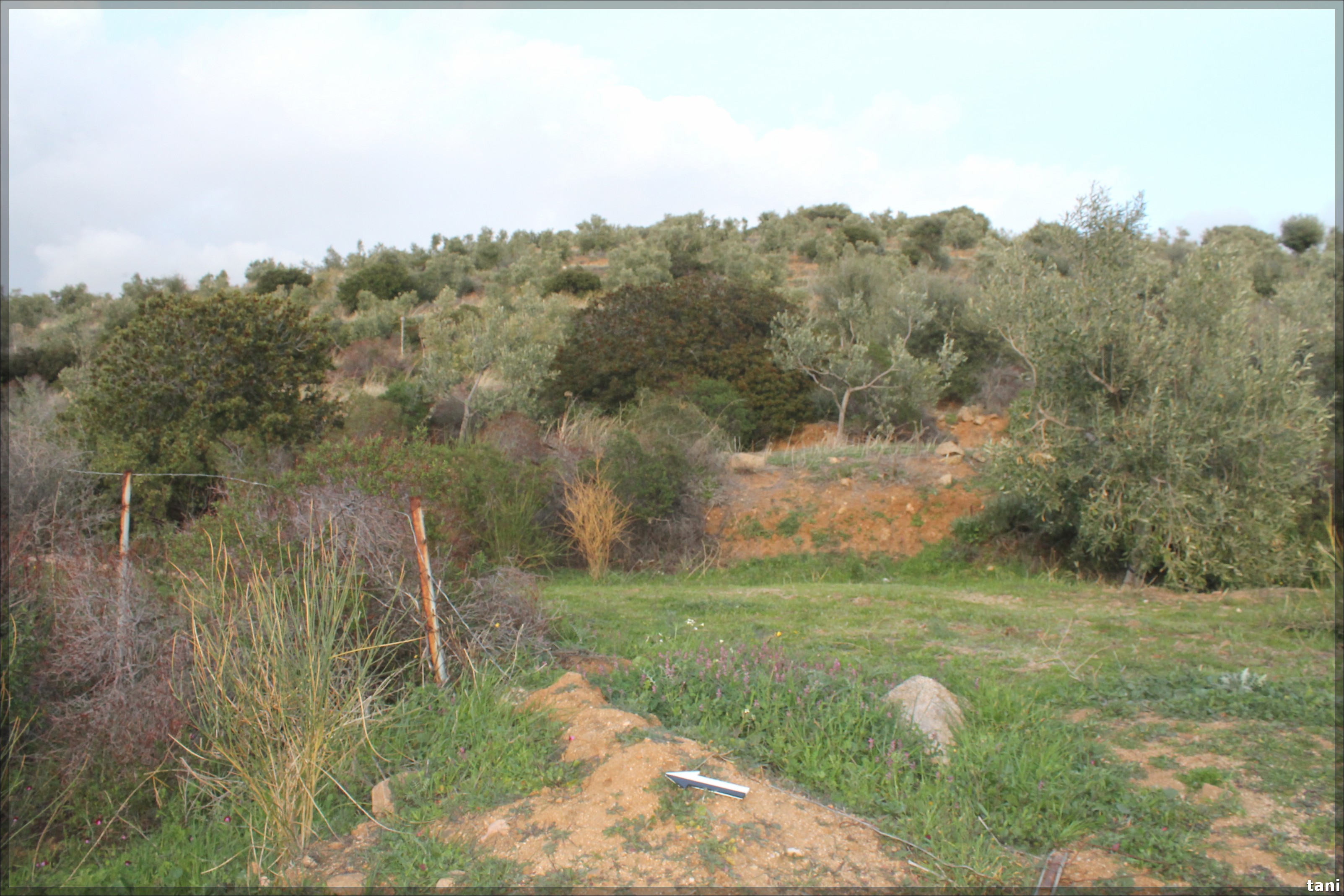 Nuraghe Marcolinu (nuraghe, insediamento fortificato) - Quartu Sant'Elena (CA)  (Età del Bronzo medio-Età del Bronzo finale)